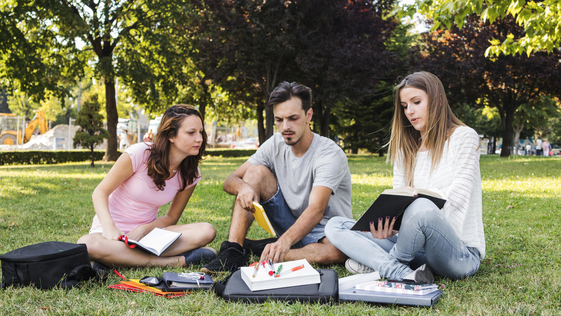 Carreras universitarias en Costa Rica: una oferta diversa y en expansión.