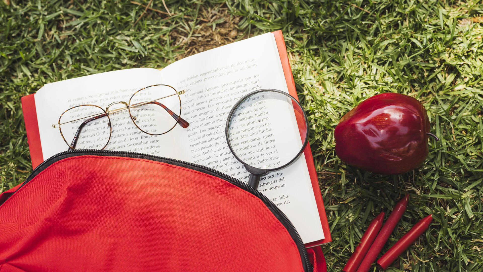 Libros bilingües en francés y español: una herramienta eficaz para afinar tu comprensión.