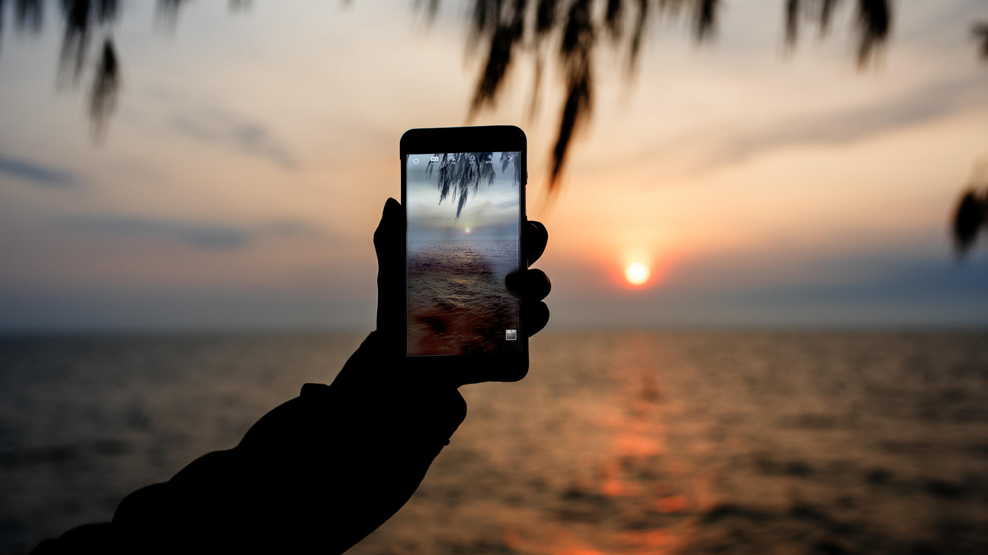 Consejos para elegir celular con buena cámara: lo que no debes pasar por alto.