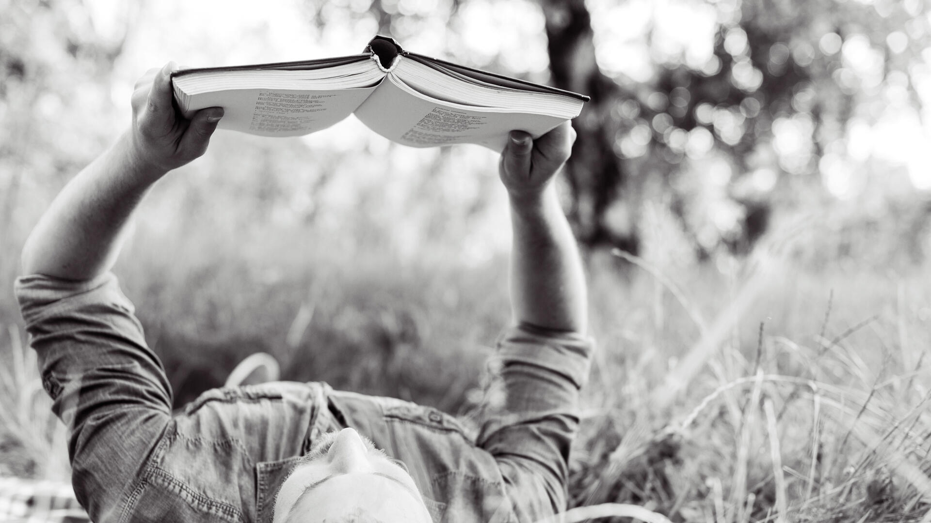 Mejores libros para aprender francés desde cero: guía para los primeros meses.