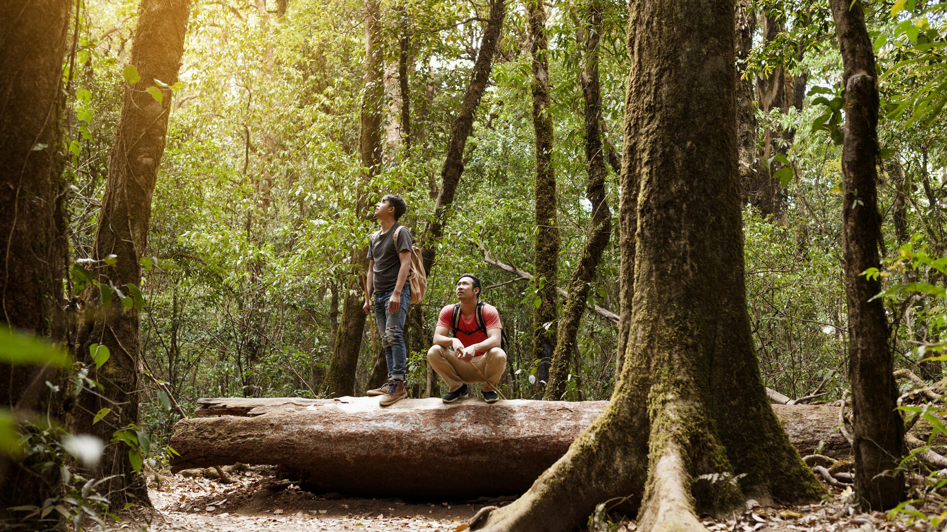 Ecoturismo en Costa Rica: una forma única de vivir la naturaleza.