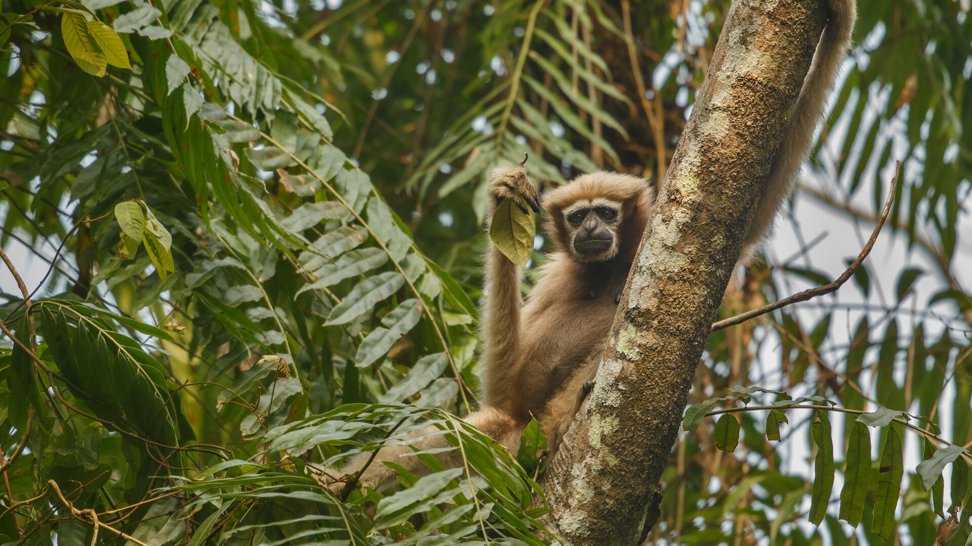 Regiones climáticas de Costa Rica: fenómenos meteorológicos.