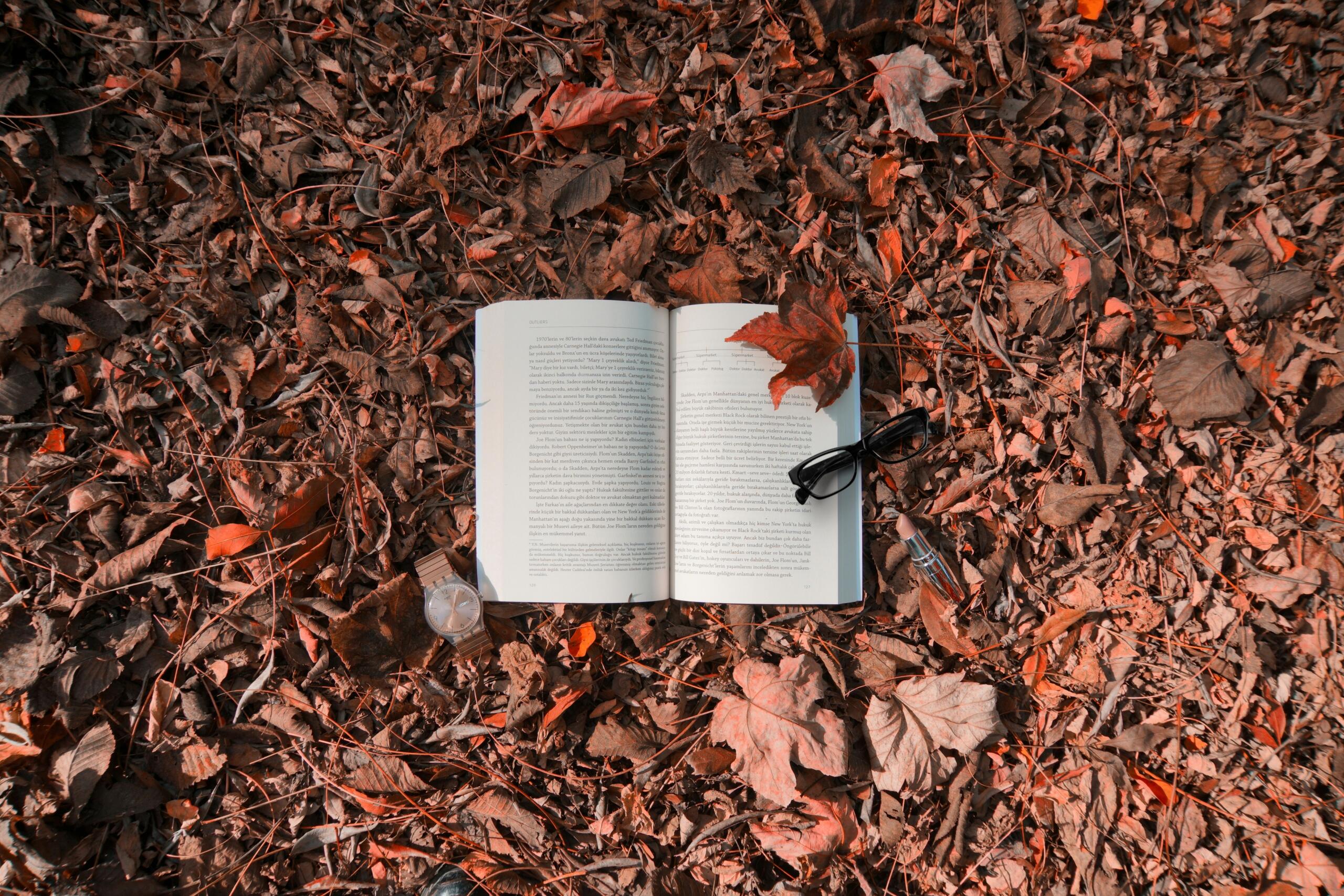 Un libro de una novela abierta encima de hojas secas en el campo