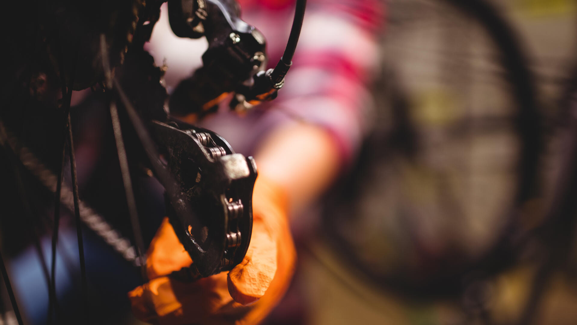 Viajes en bicicleta: una nueva forma de conocer Costa Rica.