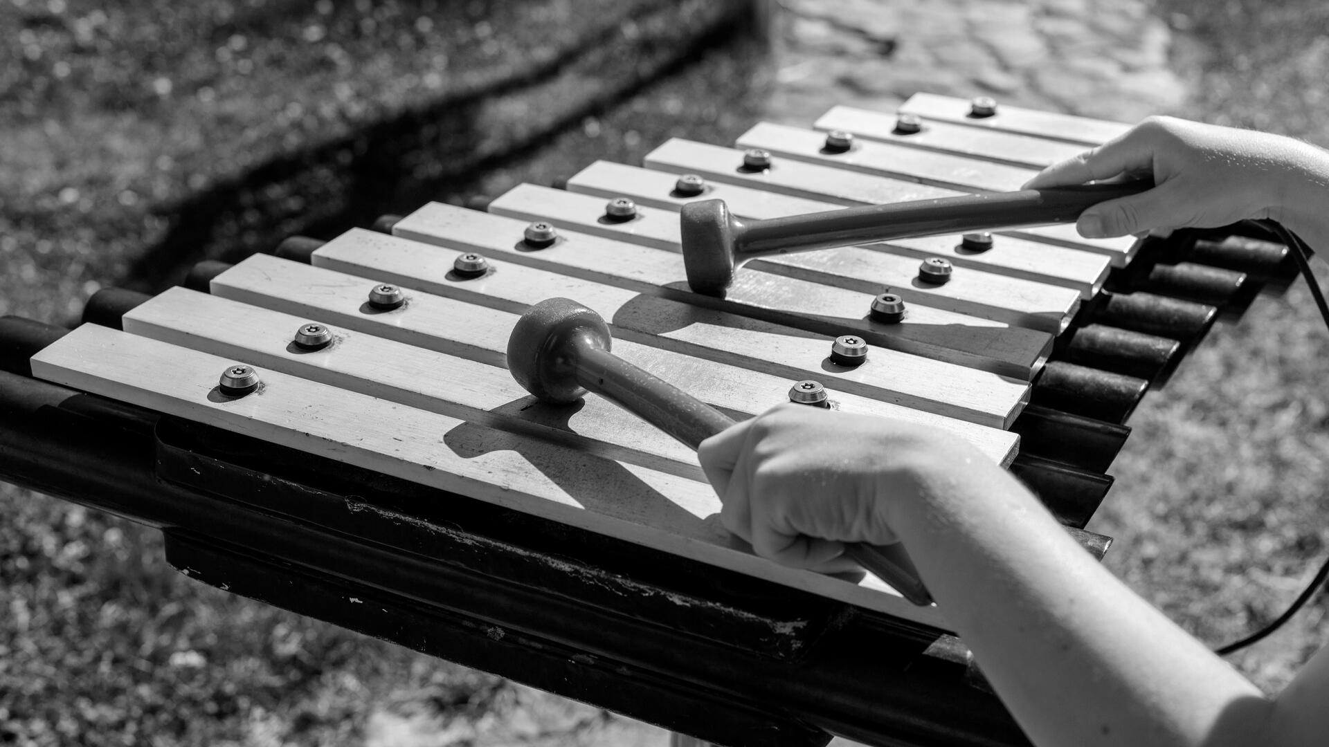 La marimba típica de Costa Rica: guía para turistas y estudiosos.