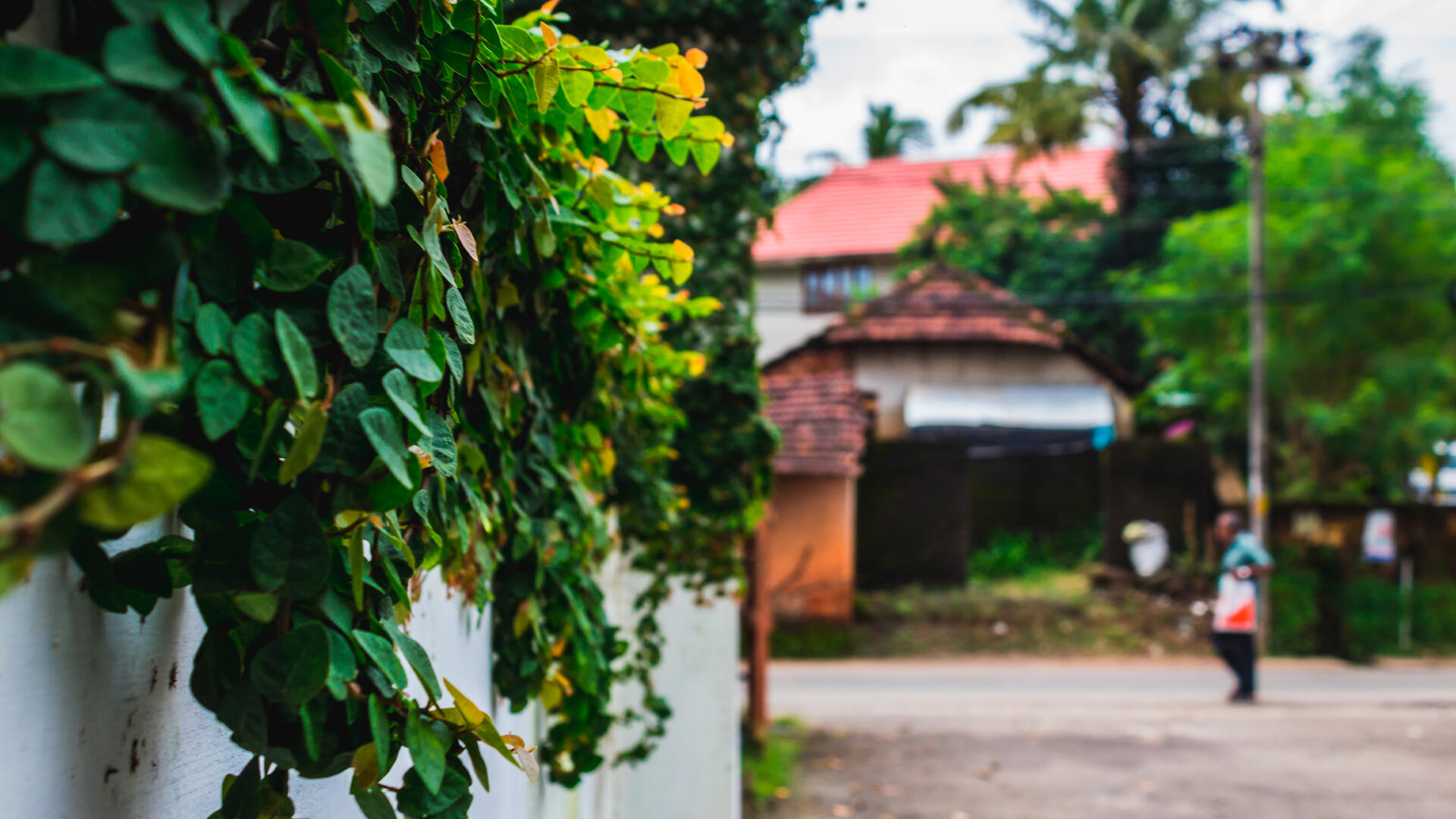 Diferencias entre la marimba de Costa Rica y otras marimbas centroamericanas.