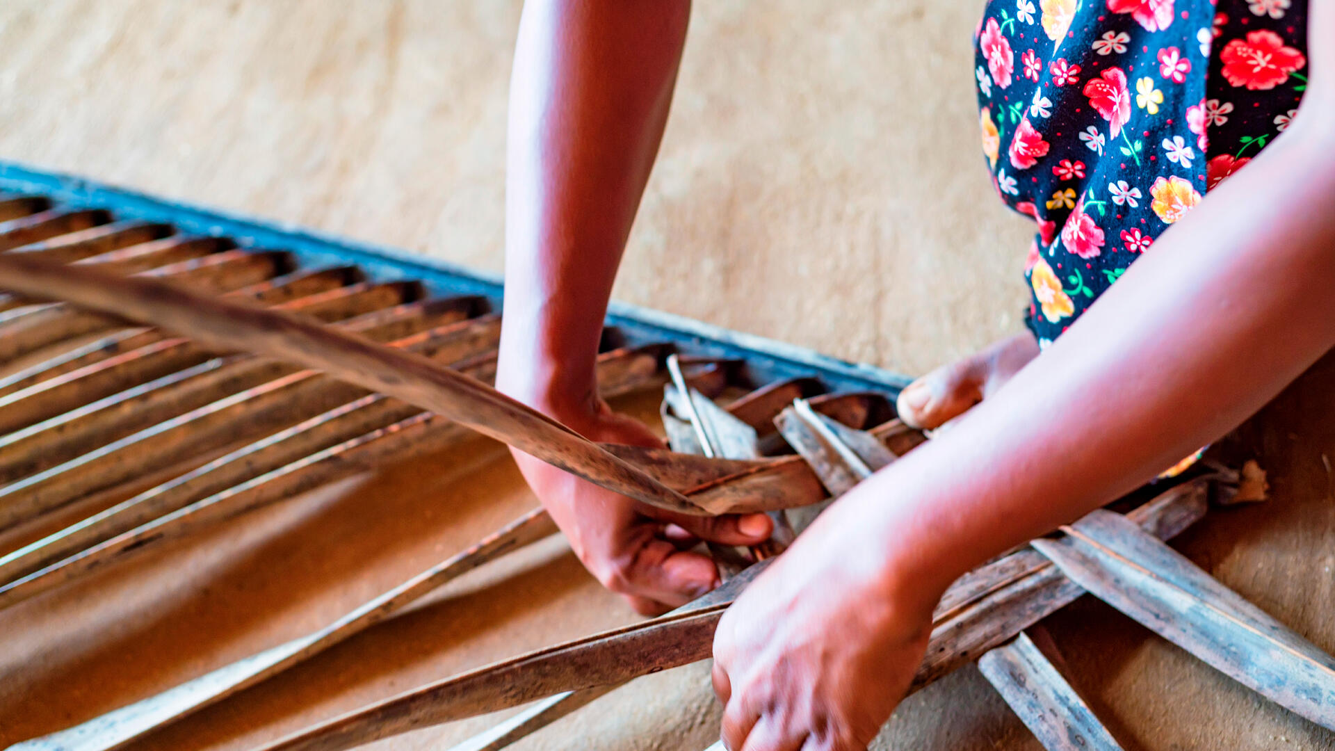 Madera para marimba Guanacaste: así se construye la esencia de su músic.