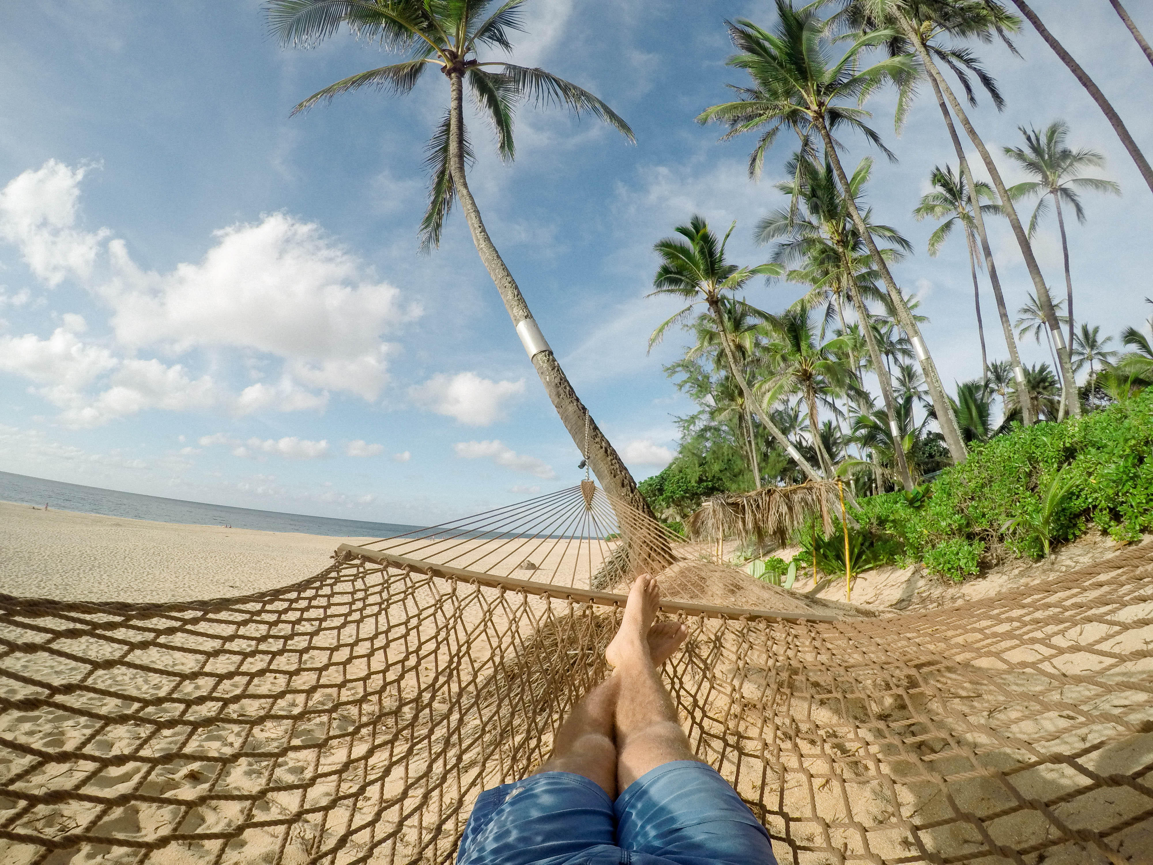 Nachhilfe geben und dabei Urlaub machen.