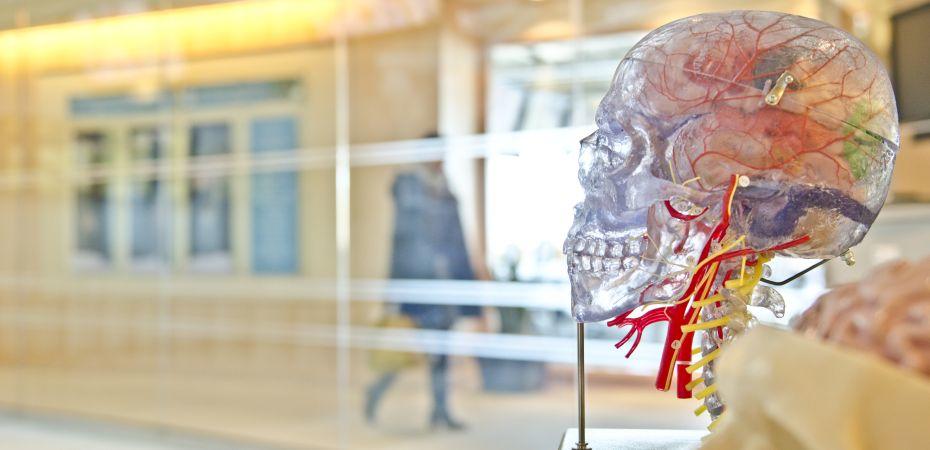 Welcher Lerntyp bin ich?