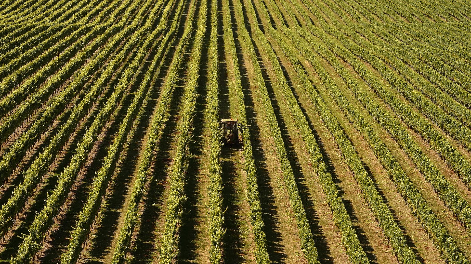 Ihr wollt in Australien auf einer Farm arbeiten?