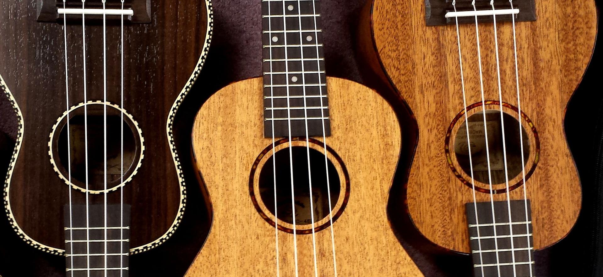 Der Kauf einer Ukulele sollte wohl überlegt sein
