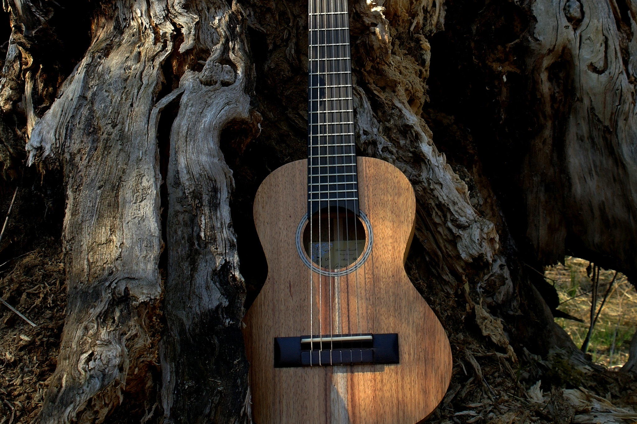 Gitalele, 6 saitige Ukulele, 8 saitige Ukulelea haben unterschiedliche Töne, das Stimmen funktoniert sonst gleich.