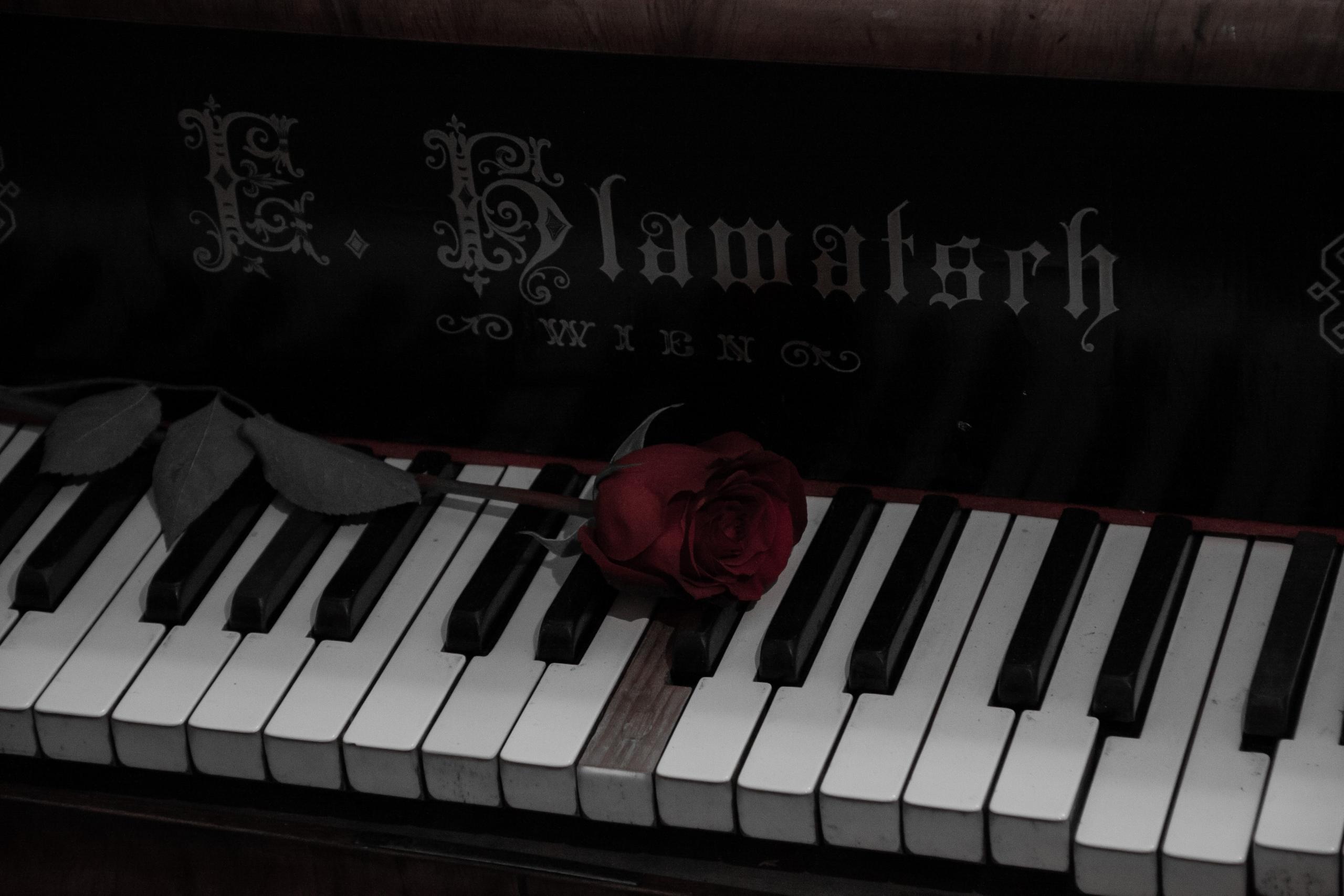 Etwas Musiktheorie hilft beim Klavier Lernen.