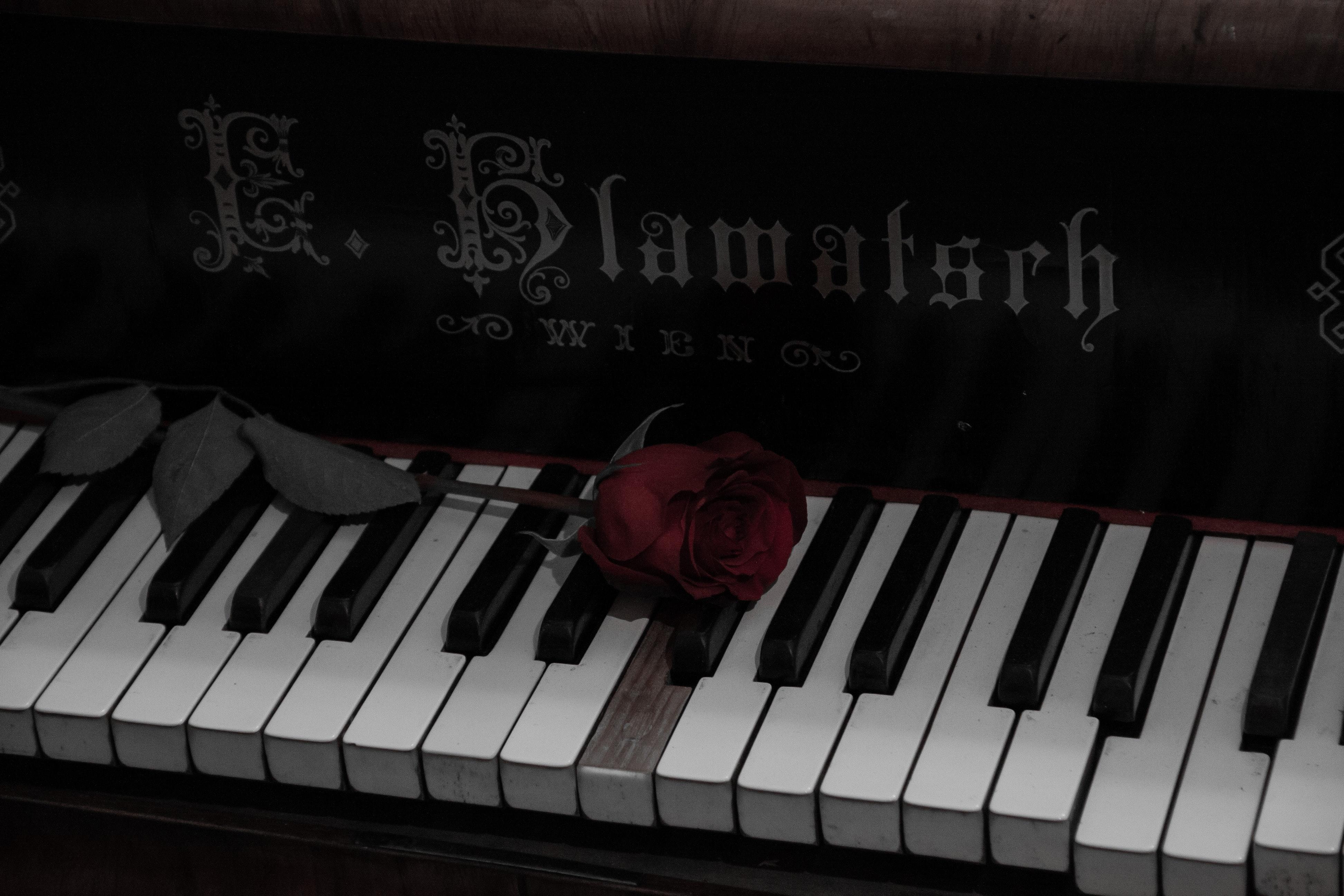 Etwas Musiktheorie hilft beim Klavier Lernen.