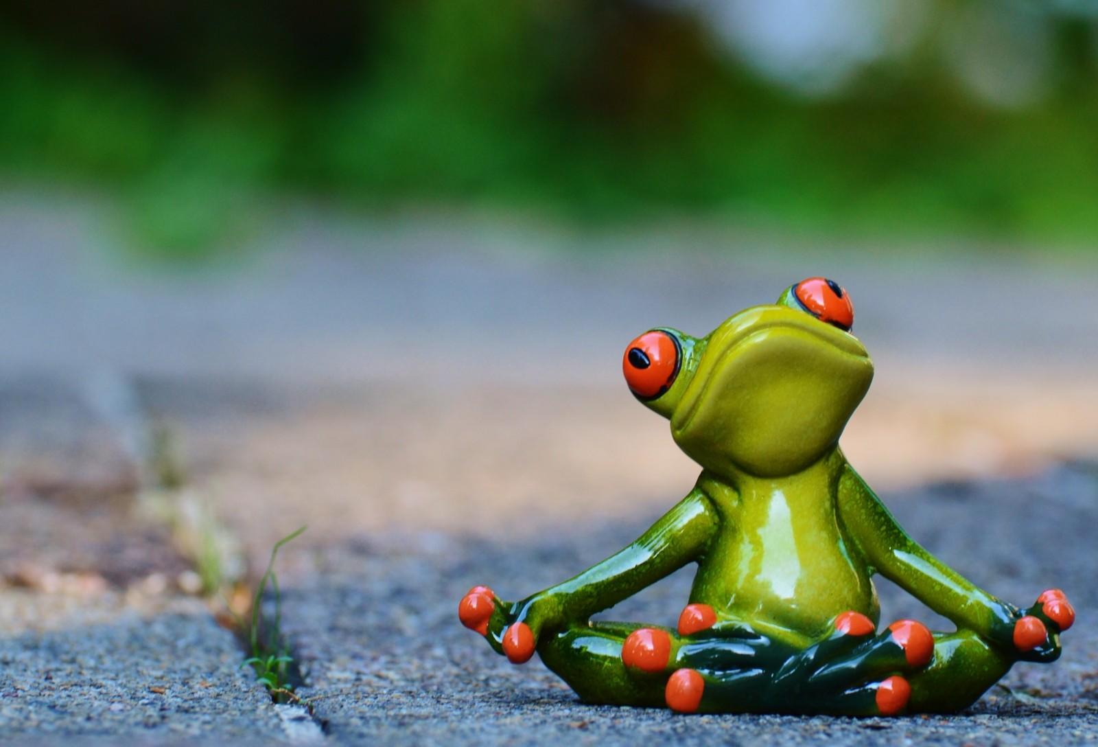 Was ist beim Yoga wichtig?