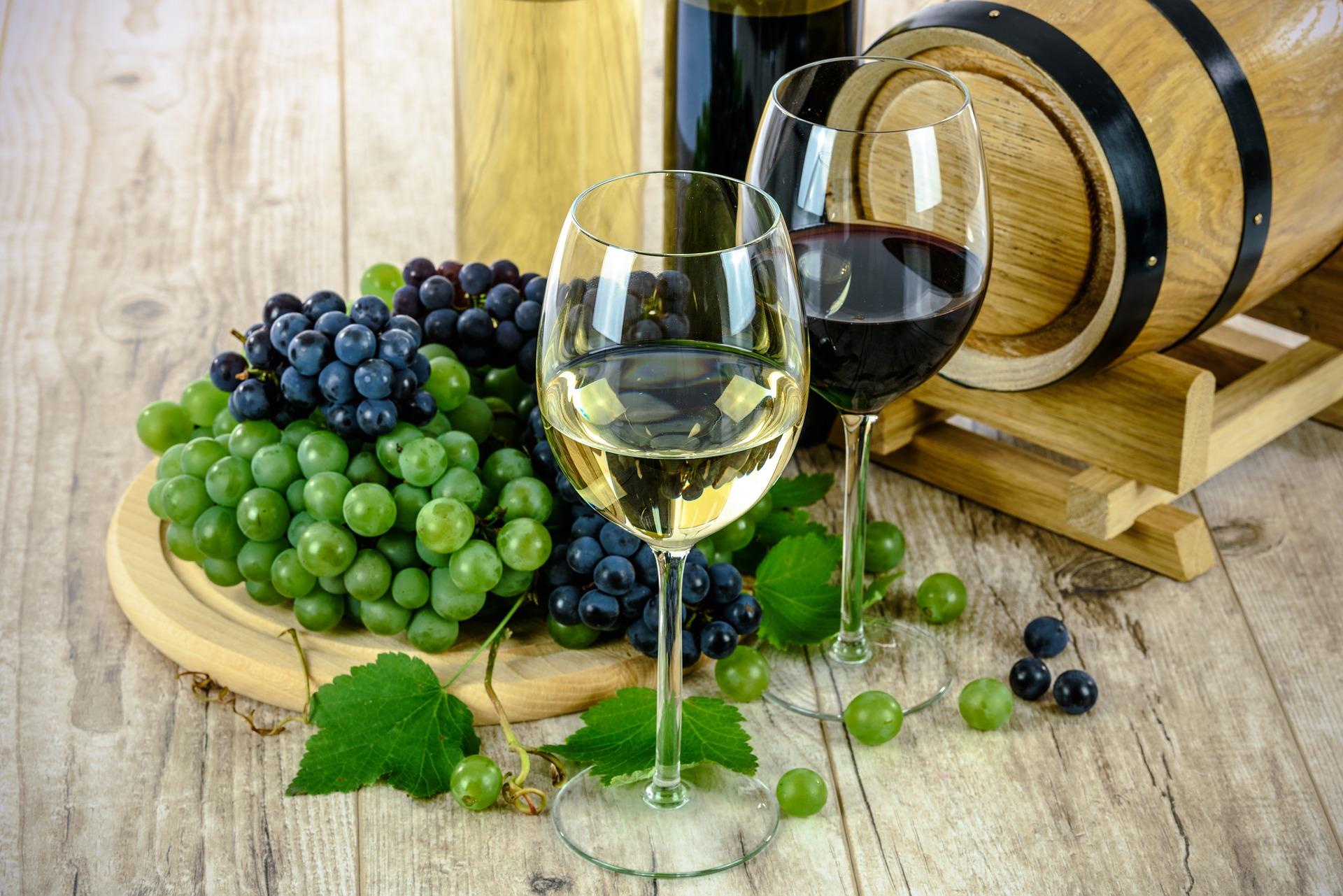 Welches Land hat die besten Weine?
