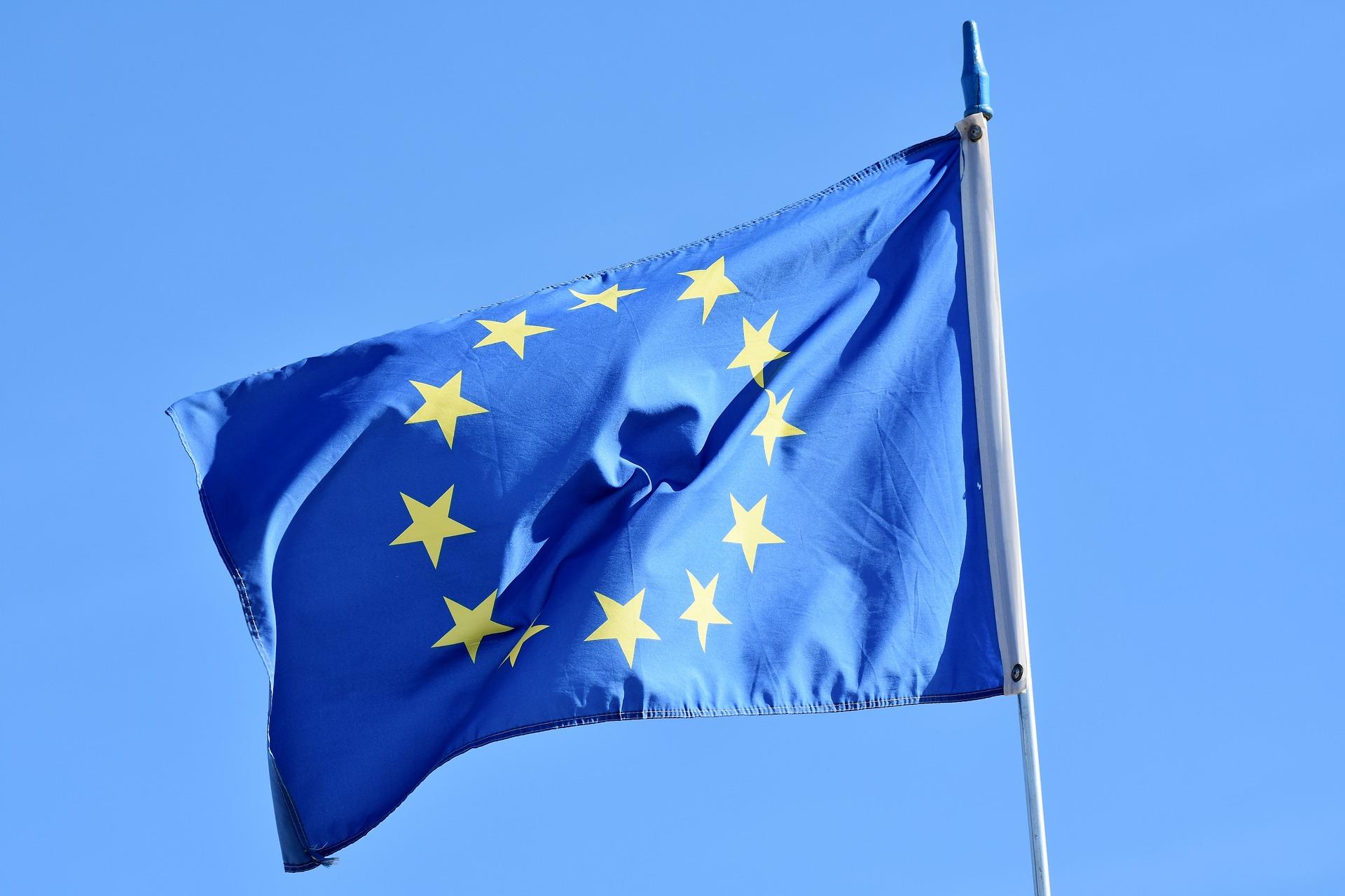 Der gemeinsame Europäische Referenzrahmen für Sprachen