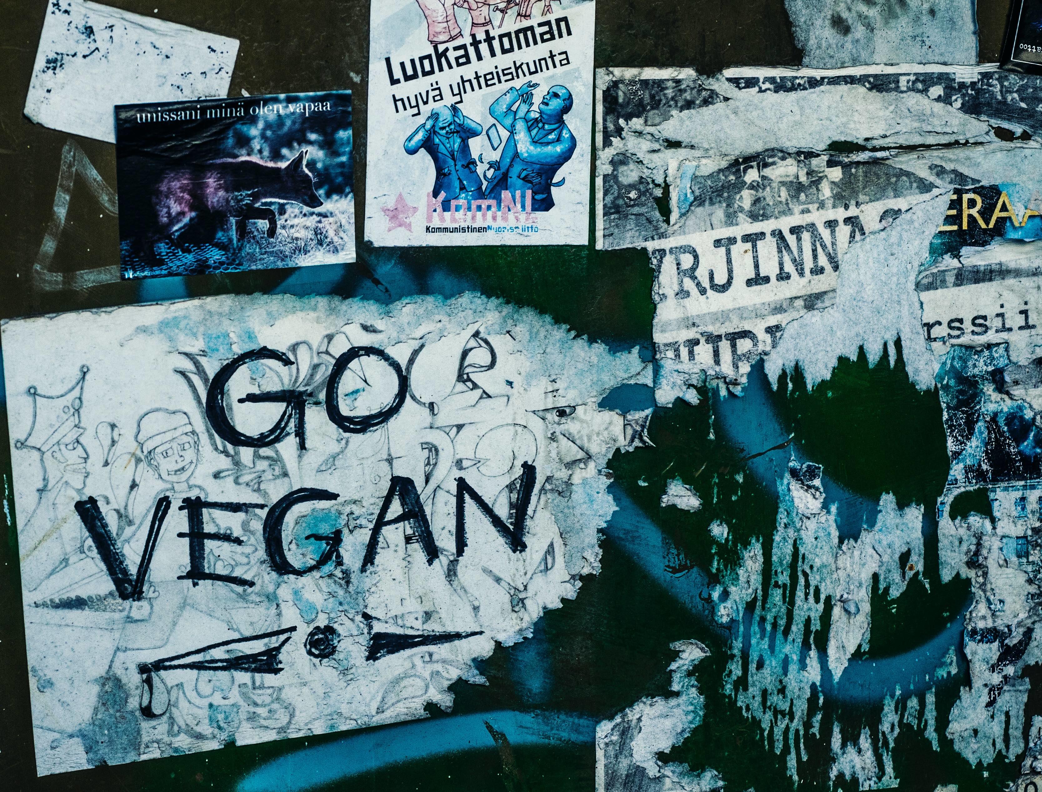 Hat man Mangelerscheinungen, wenn man vegan isst?