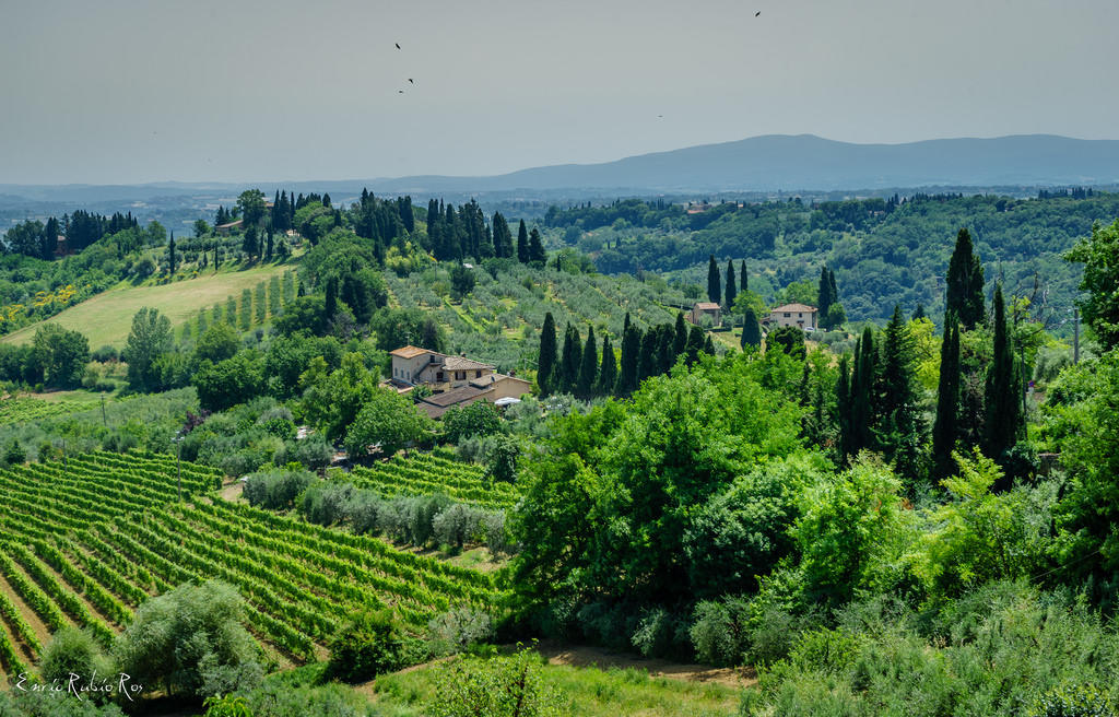 Die Toskana ist nicht nur kulinarisch beliebt, sondern auch landschaftlich.