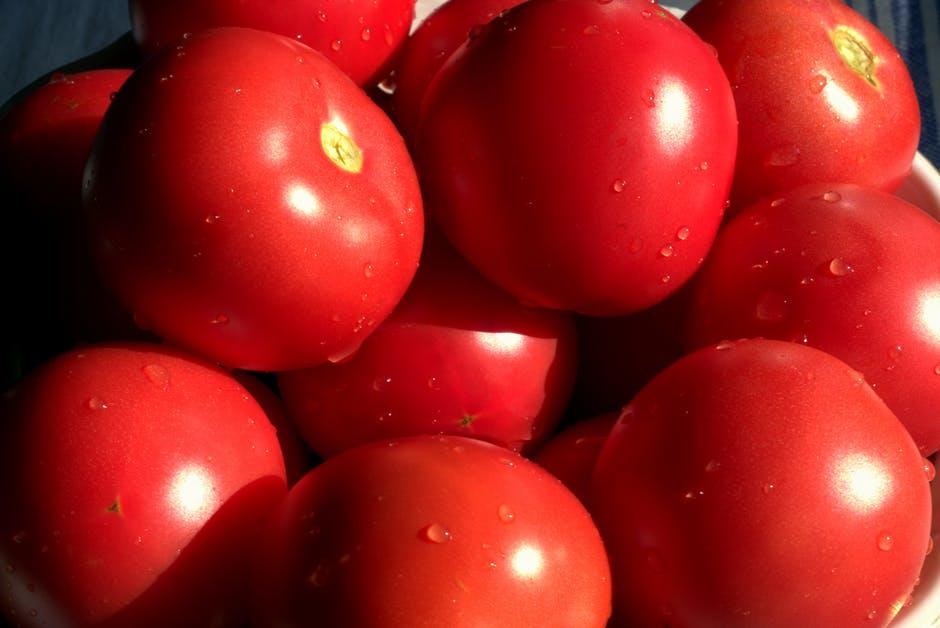 Tomaten gehören in so gut wie jedes italienische Gericht.