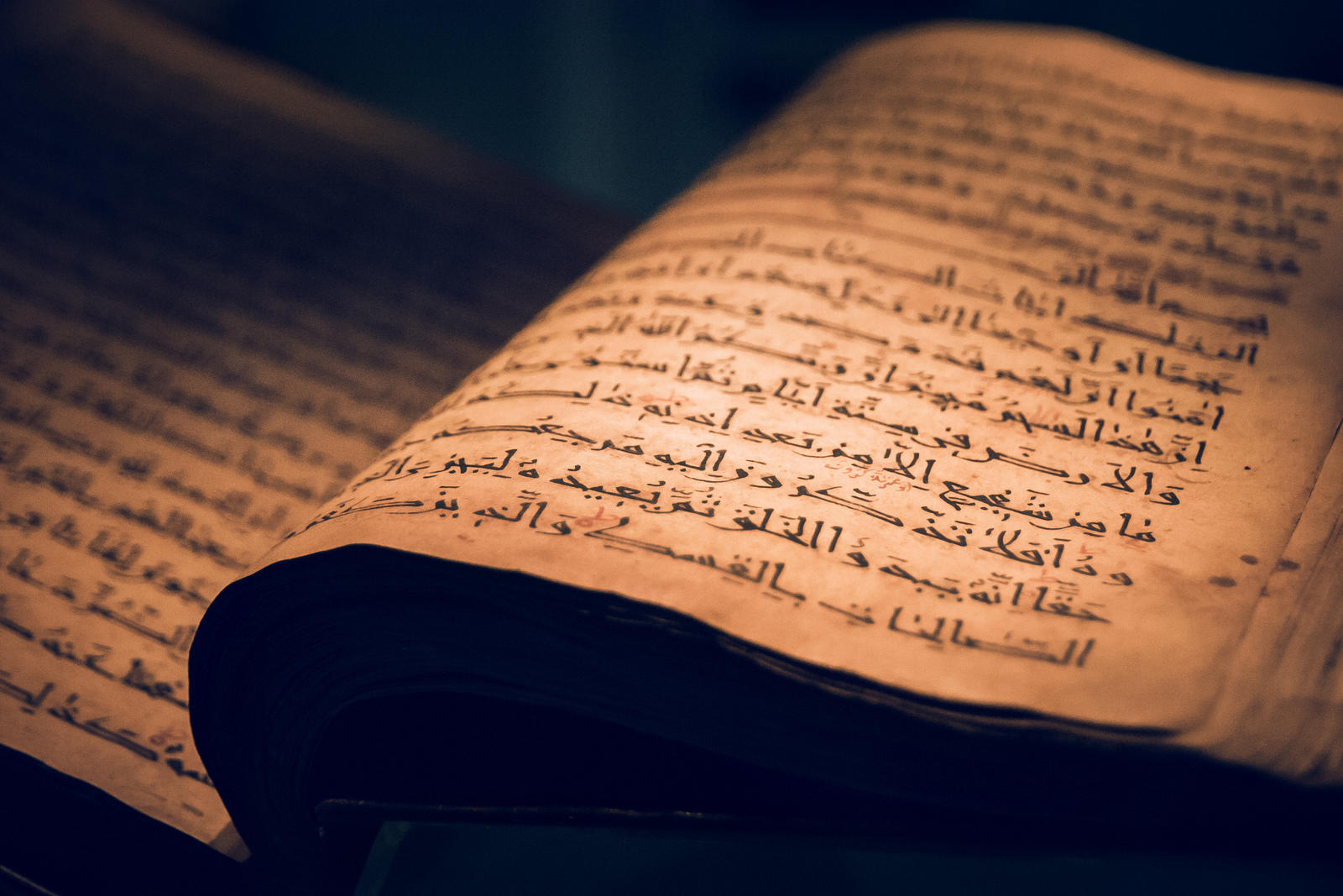 Hast Du schon einmal im Koran geblättert?