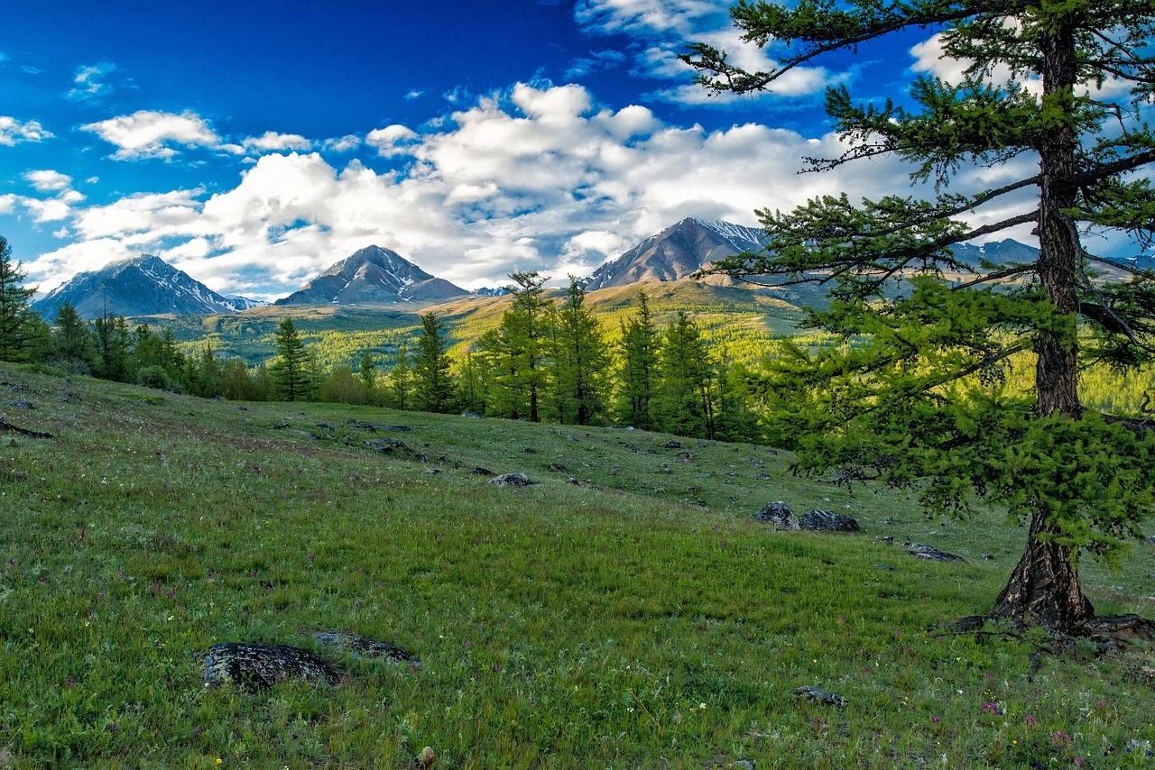 Grün stellt man sich Russland selten vor. Doch auch das gehört zu einem abgerundeten Bild des Landes dazu.