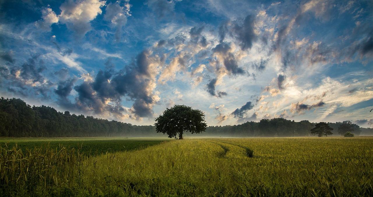 Landschaftsfotografie ist eine Kunst für sich.