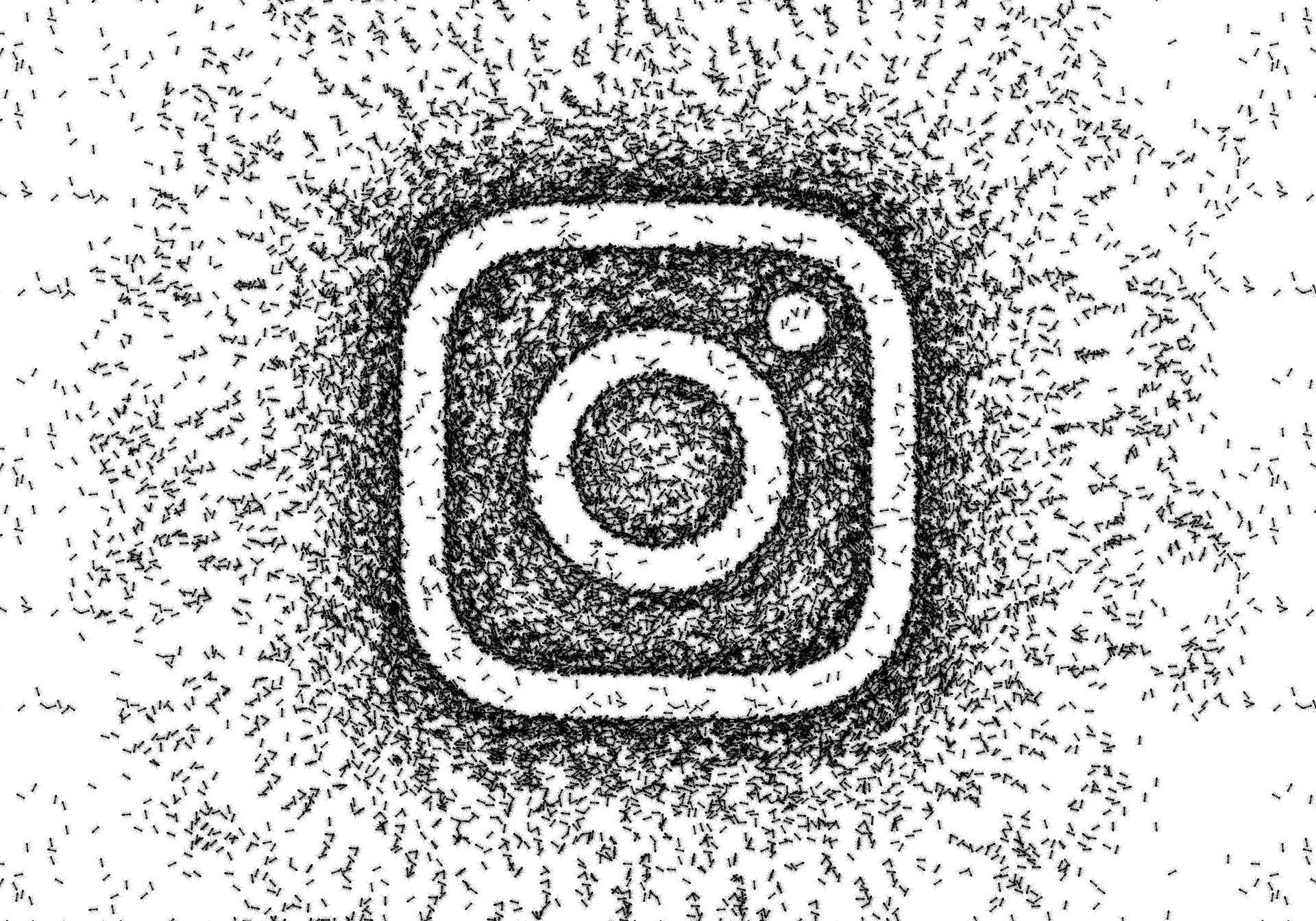 Auf Instagram findet Ihr professionelle Aufnahmen aller Art