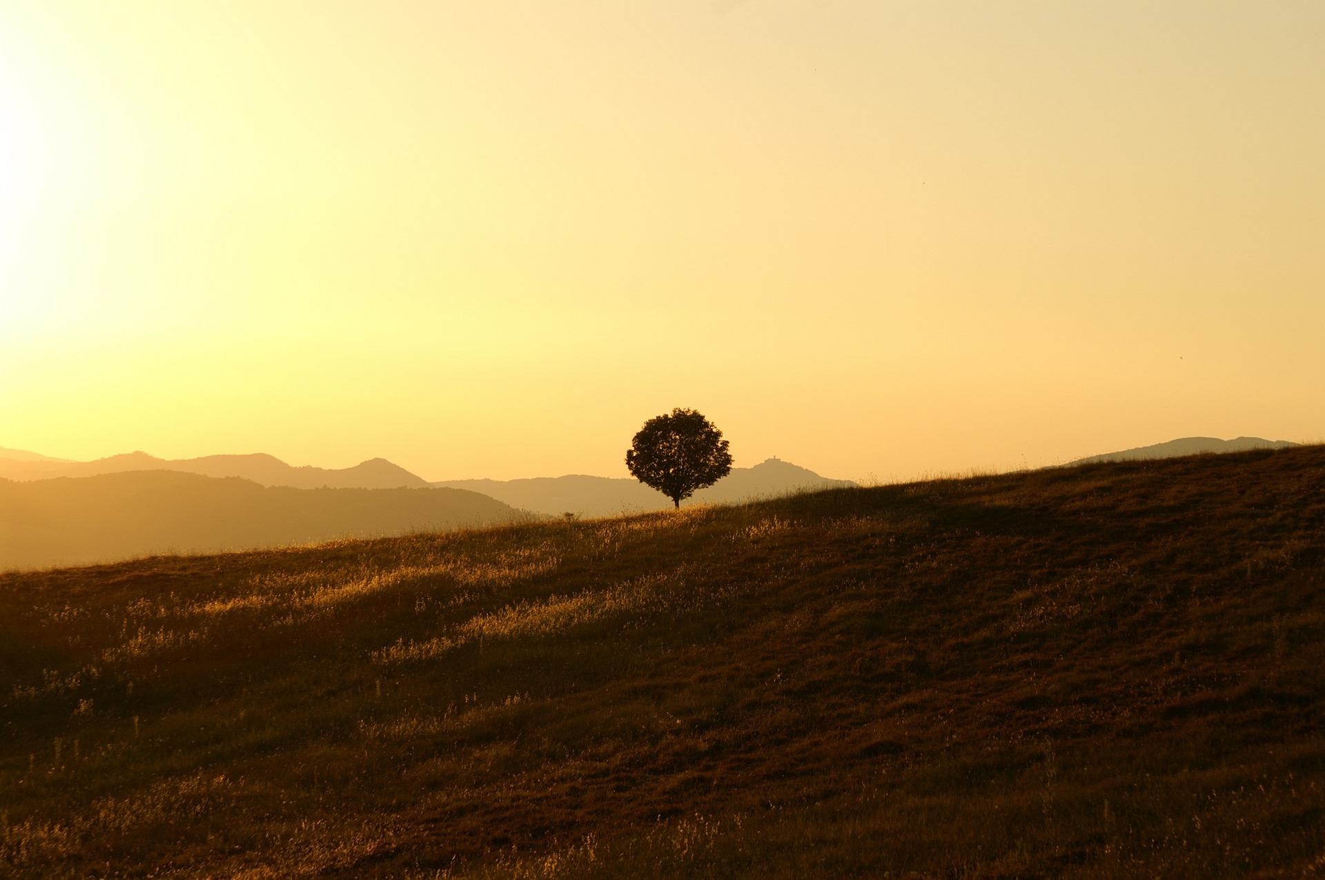 Was muss man bei Landschaftsfotos beachten?