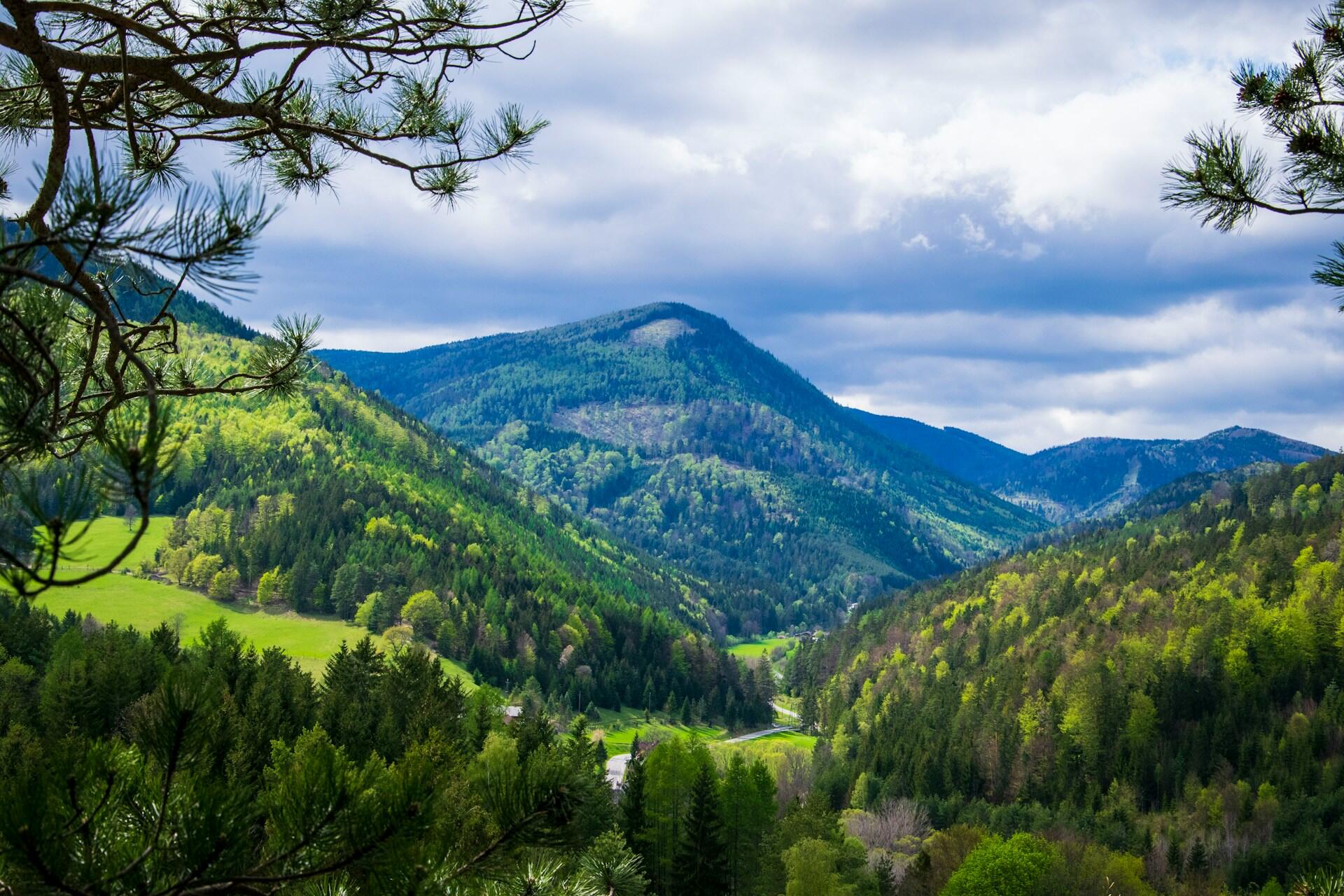 Niederösterreichische Landschaft