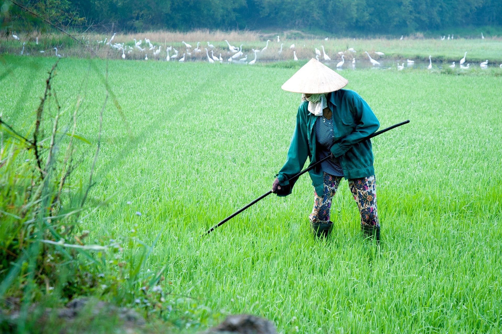 Japan war damals ein feudales System.