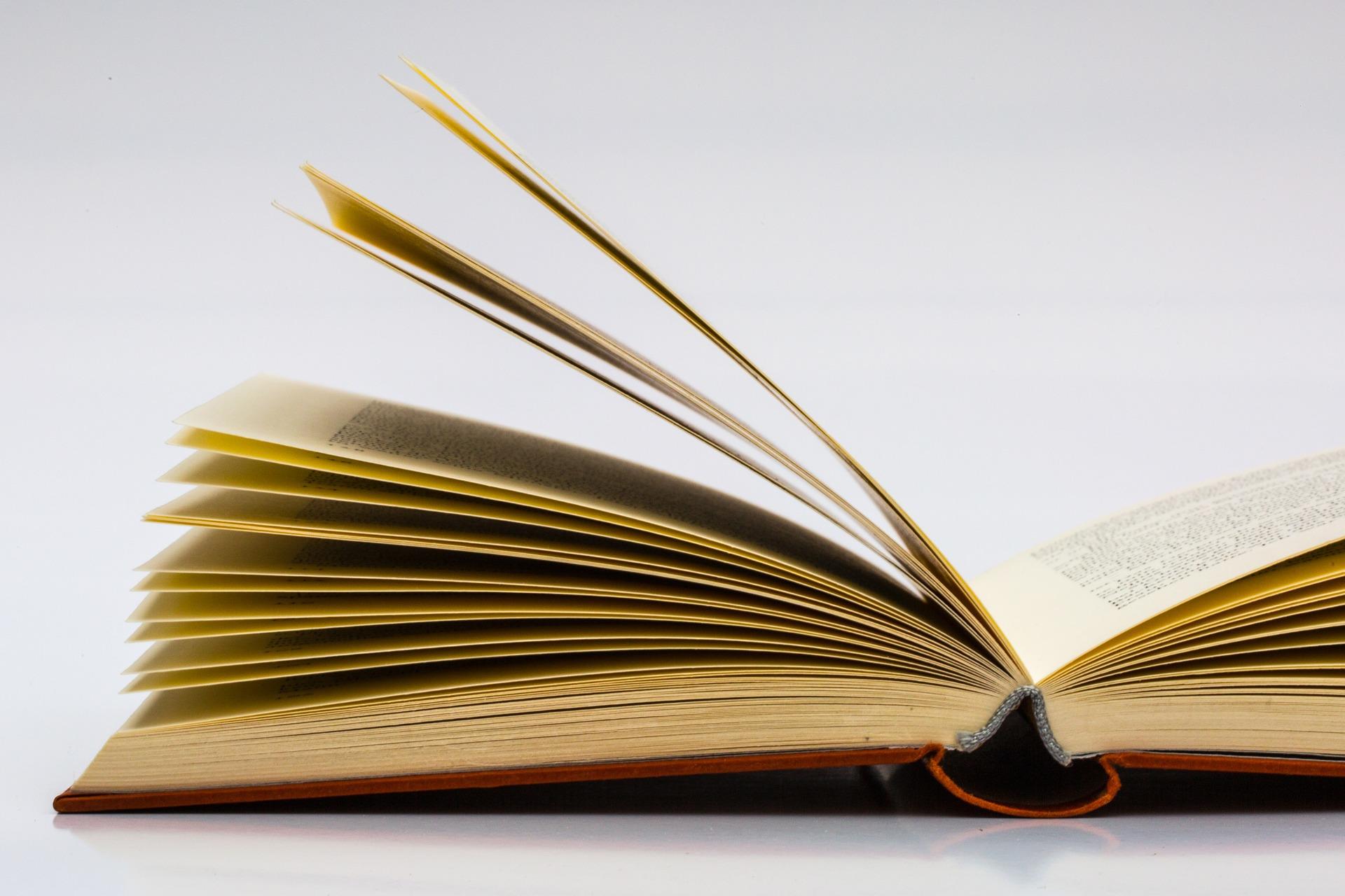 Japanisch Lernen mit Büchern ist eine gute Idee