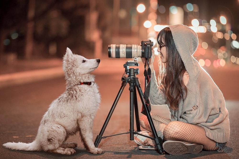 Wie fotografiert man bei künstlicher Beleuchtung, ohne das Bild zu verwackeln?