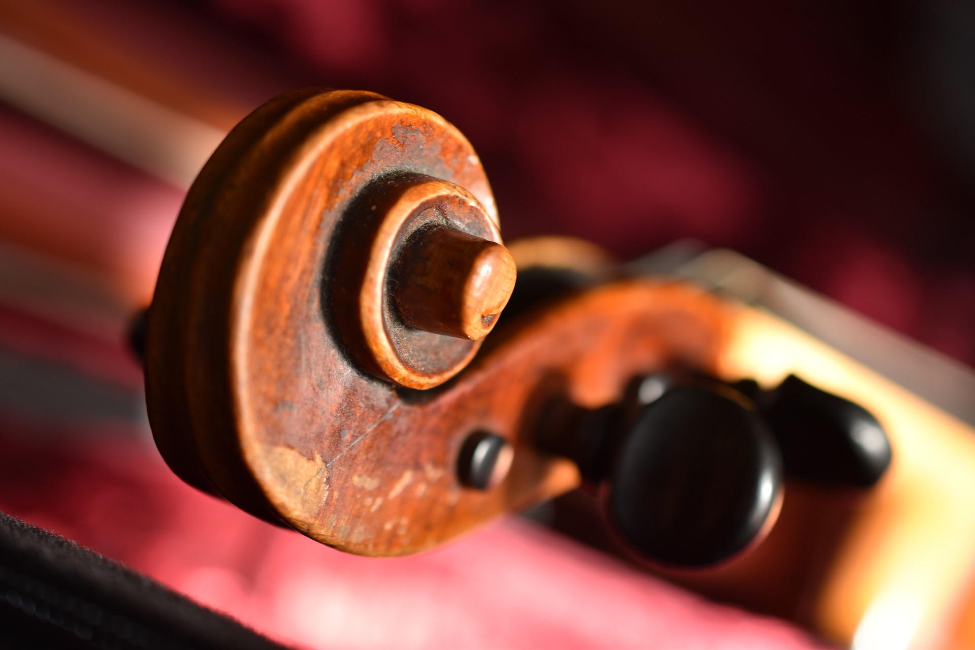 Eine Violine hat verschiedene Bestandteile.