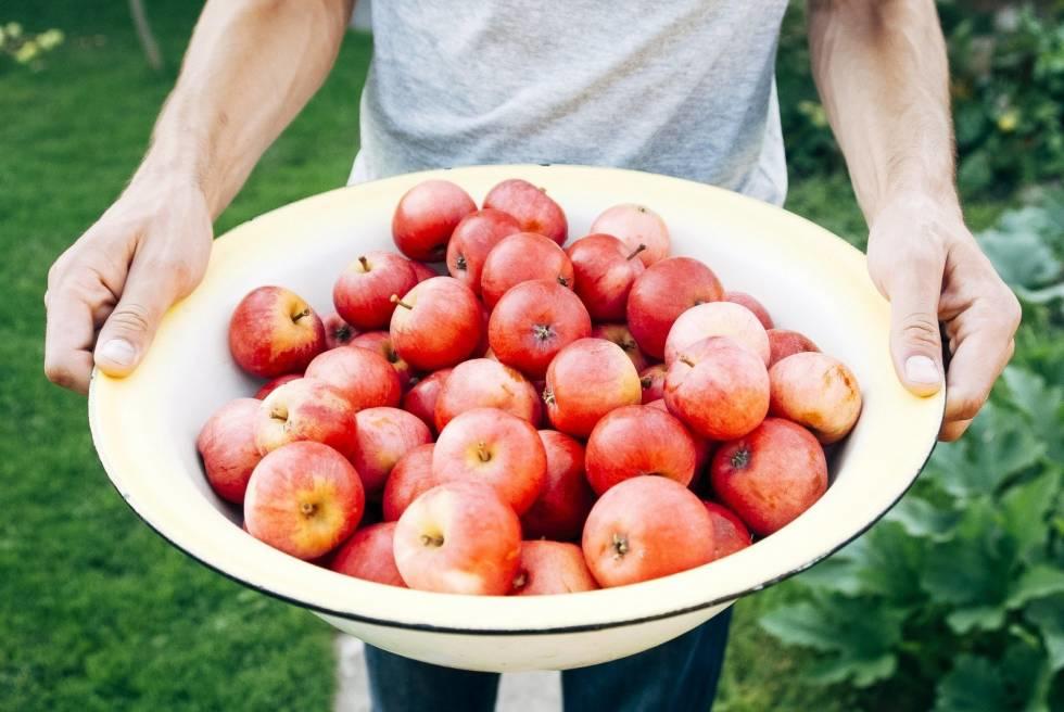 Wie gut ernährst Du Dich?