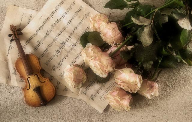 Woher kommt die Violine?