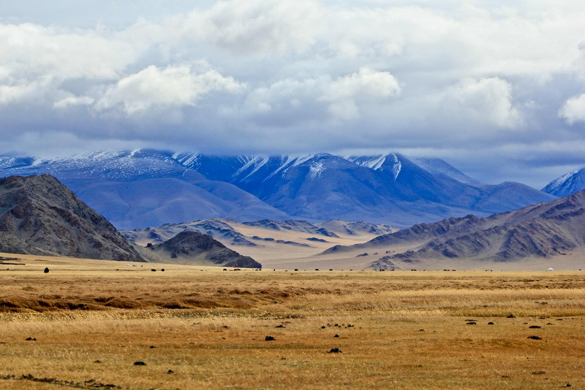 Berglandschaft mit trockenem Feld.