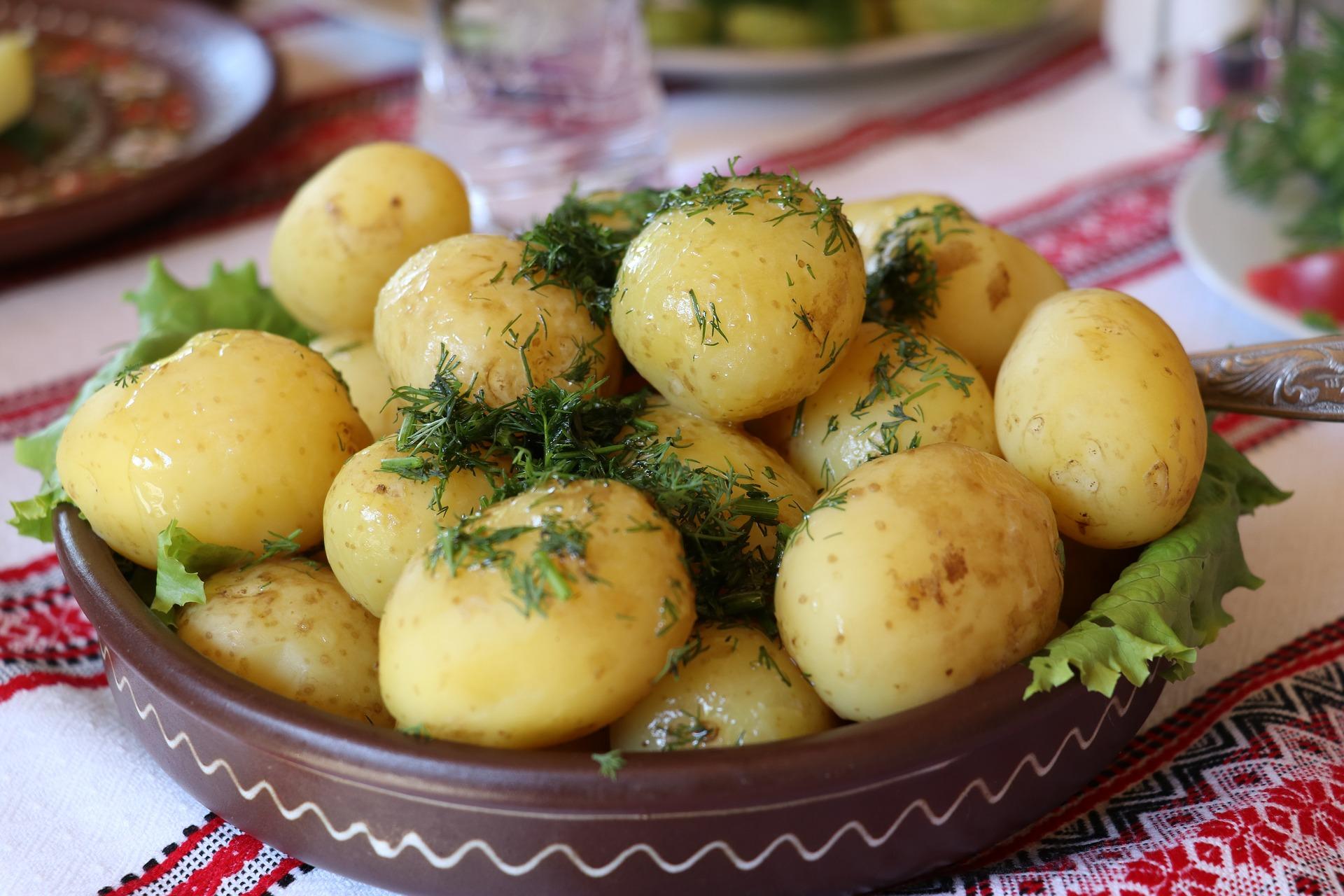 Zusammen Russisch Lernen und Spaß haben.