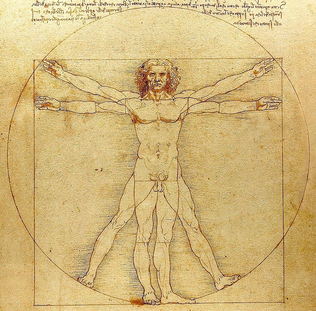 Der vitruvianische MenschLeonardo da Vinci, ca. 1490Feder und Tinte auf Papier