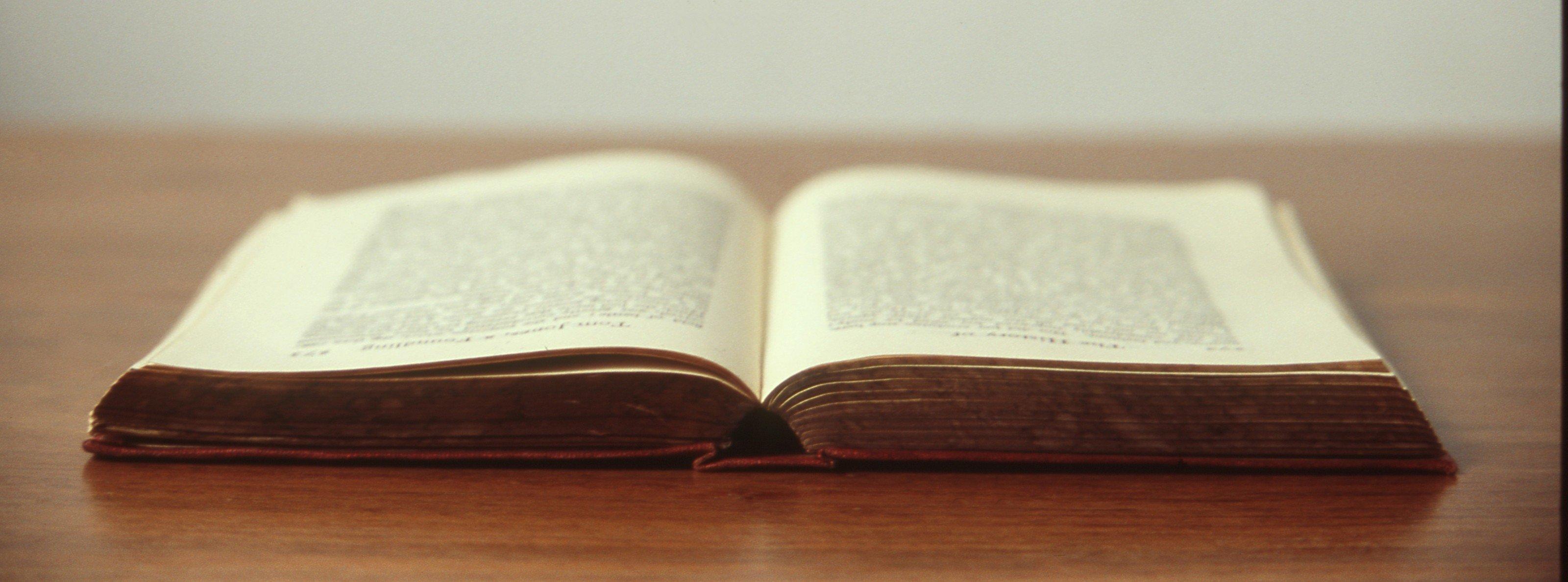 Das Buch erschließt das weite Feld der gegenwärtigen Geschichtswissenschaften.