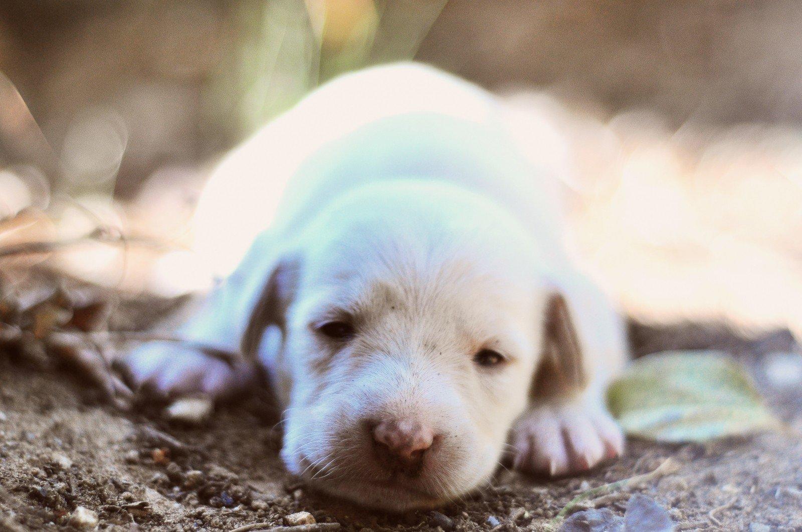Wie kann ich mit Zeichnen runterkommen?
