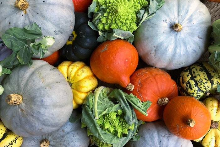 Ernährungsbedingte Krankheiten nehmen zu. Tipps für eine gesunde Ernährung, die Krankheiten vorbeugt und heilt.