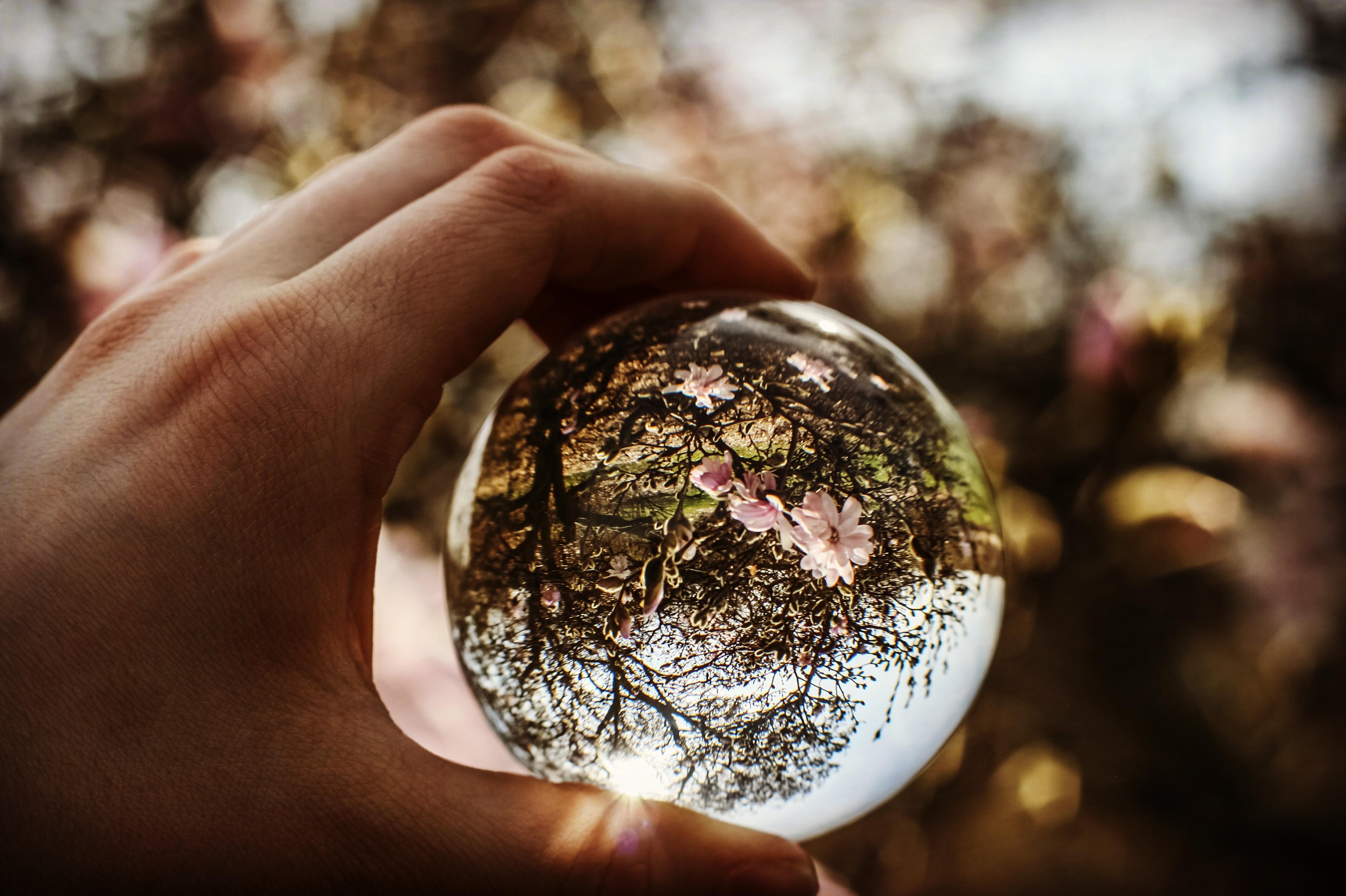 Ist die Wirtschaft eine Wissenschaft?