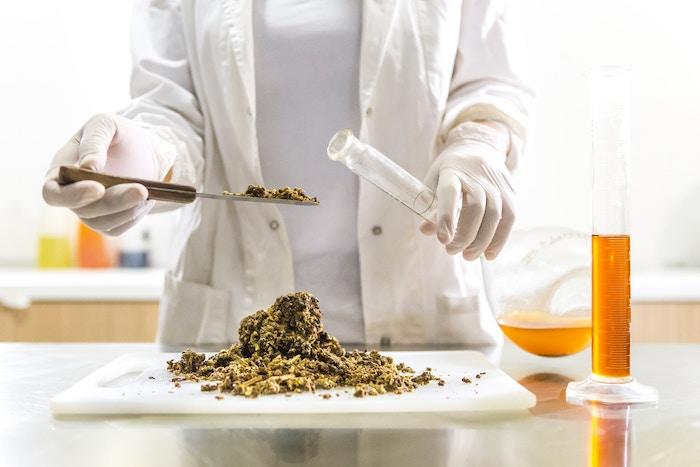 Nach dem Ernährungswissenschaften Studium können sich Ernährungswissenschaftler ganz einfach zum Ernährungsberater fortbilden.