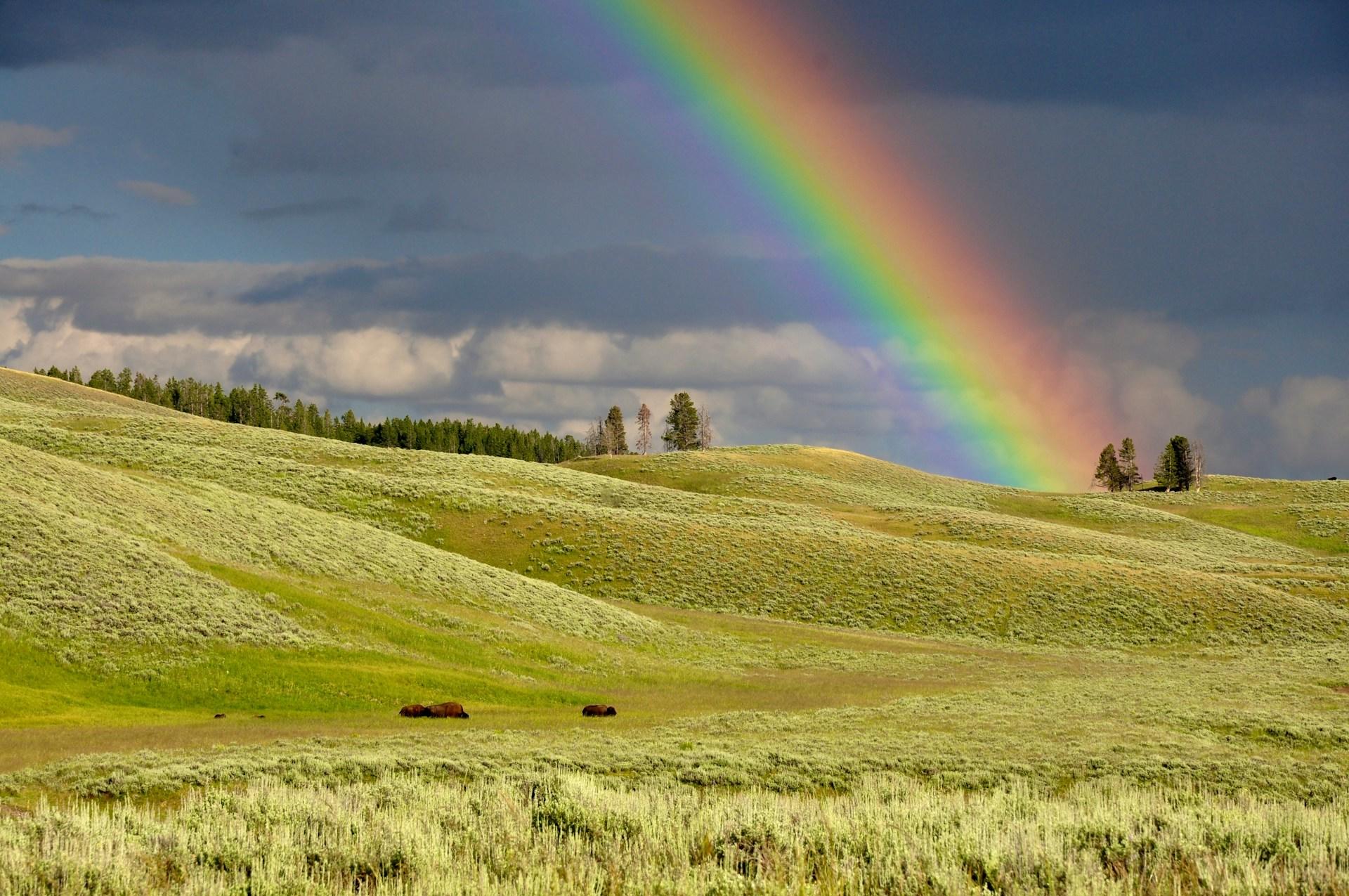 Physikalische Gesetze sorgen dafür dass ein Regenbogen entsteht wie hier über günen Feldern.