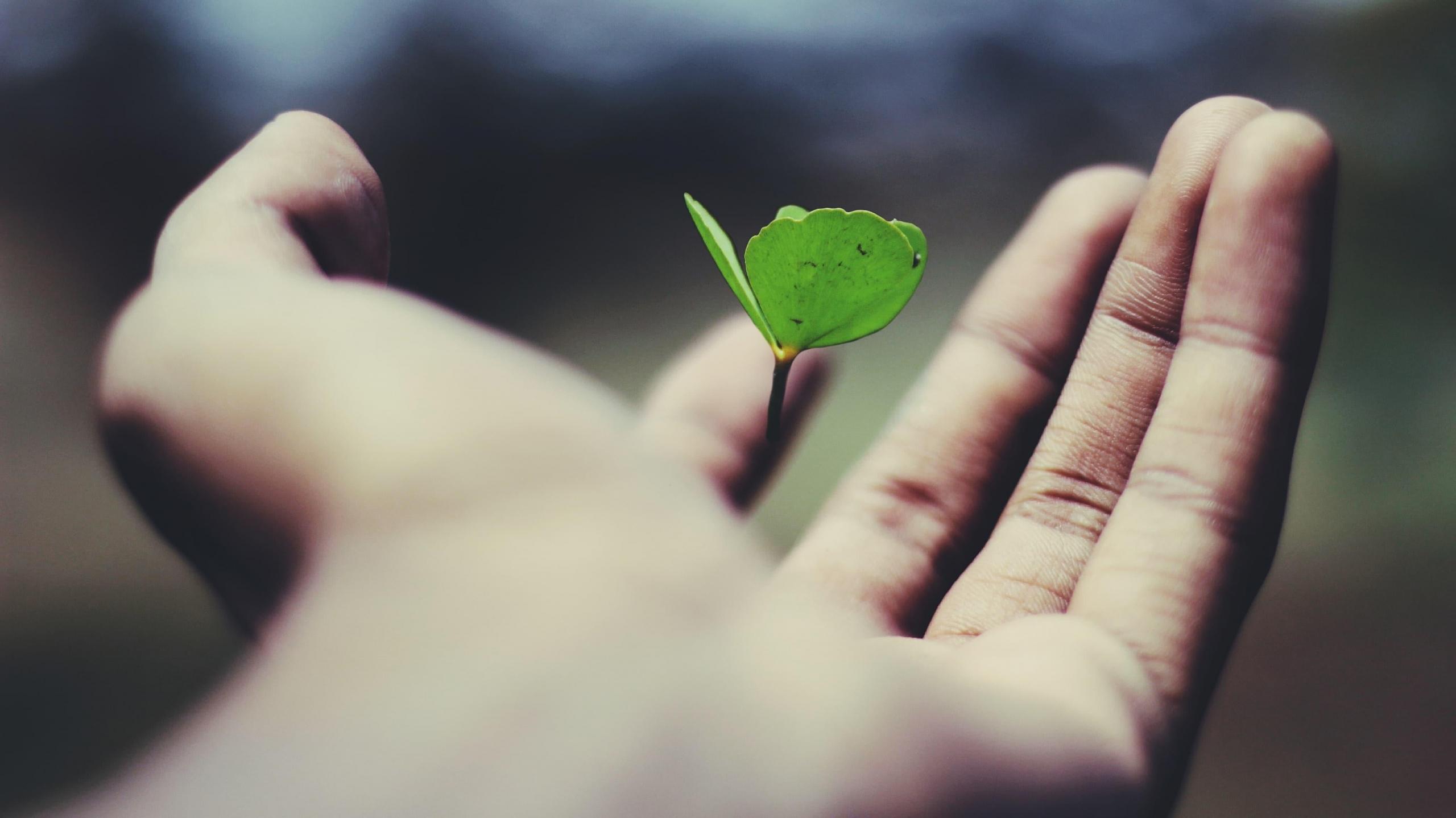 Ein Studium hilft Dir dabei, Dich persönlich zu entwickeln. (Quelle: Unsplash)