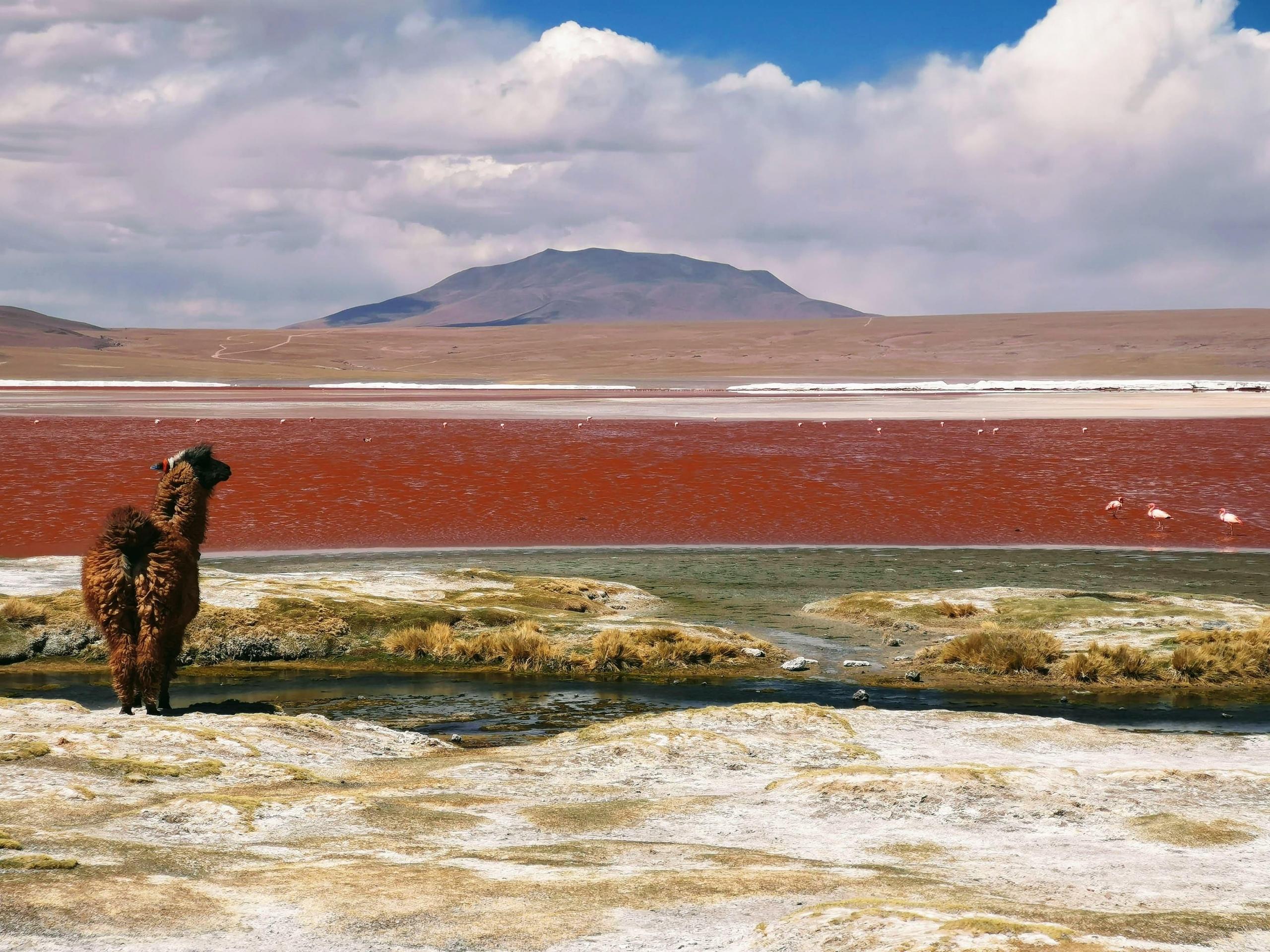 Lernt Spanisch vor Ort in Bolivien.