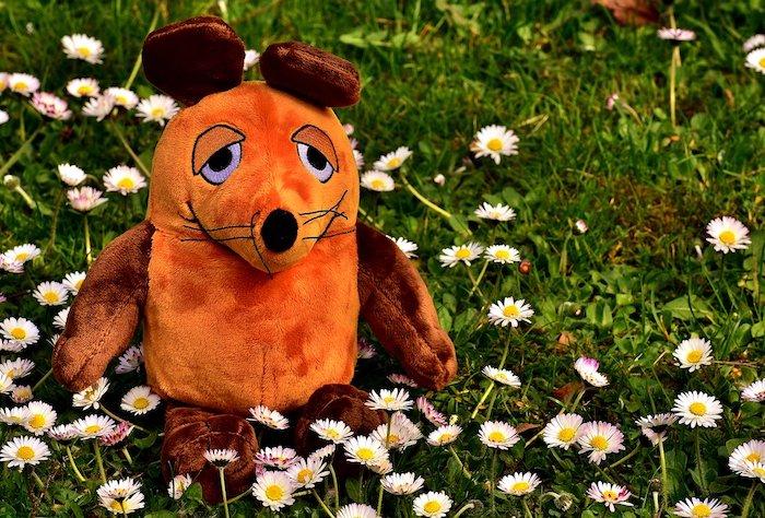 Es gibt zahlreiche Bildungsprogramme, in dene Chemie einfach erklärt wird.