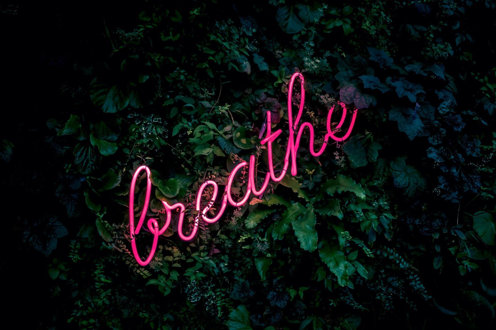 Suchst du Angebote für Yogatherapie und yogatherapeutische Workshops?