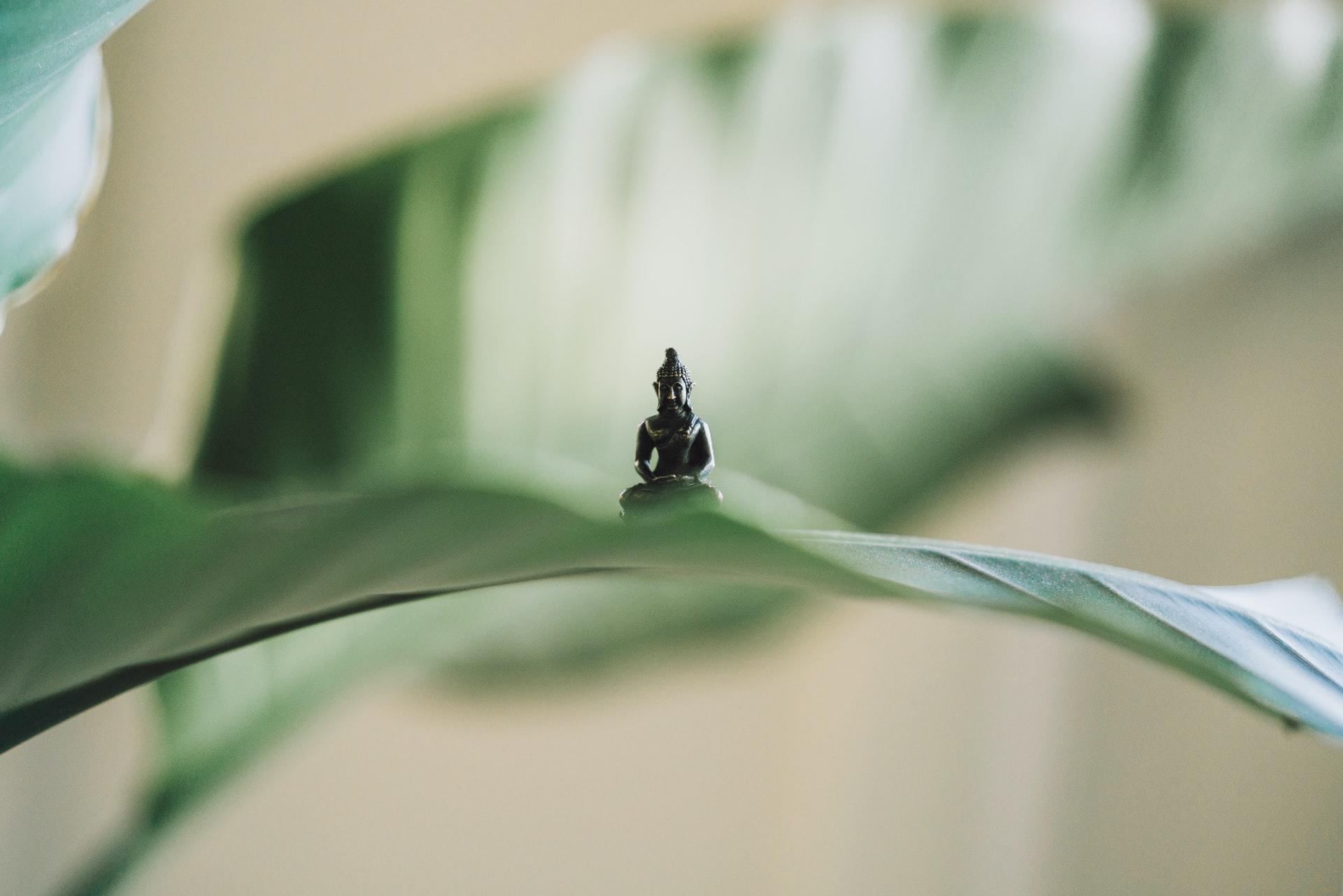 Wie ist Yogatherapie entstanden?